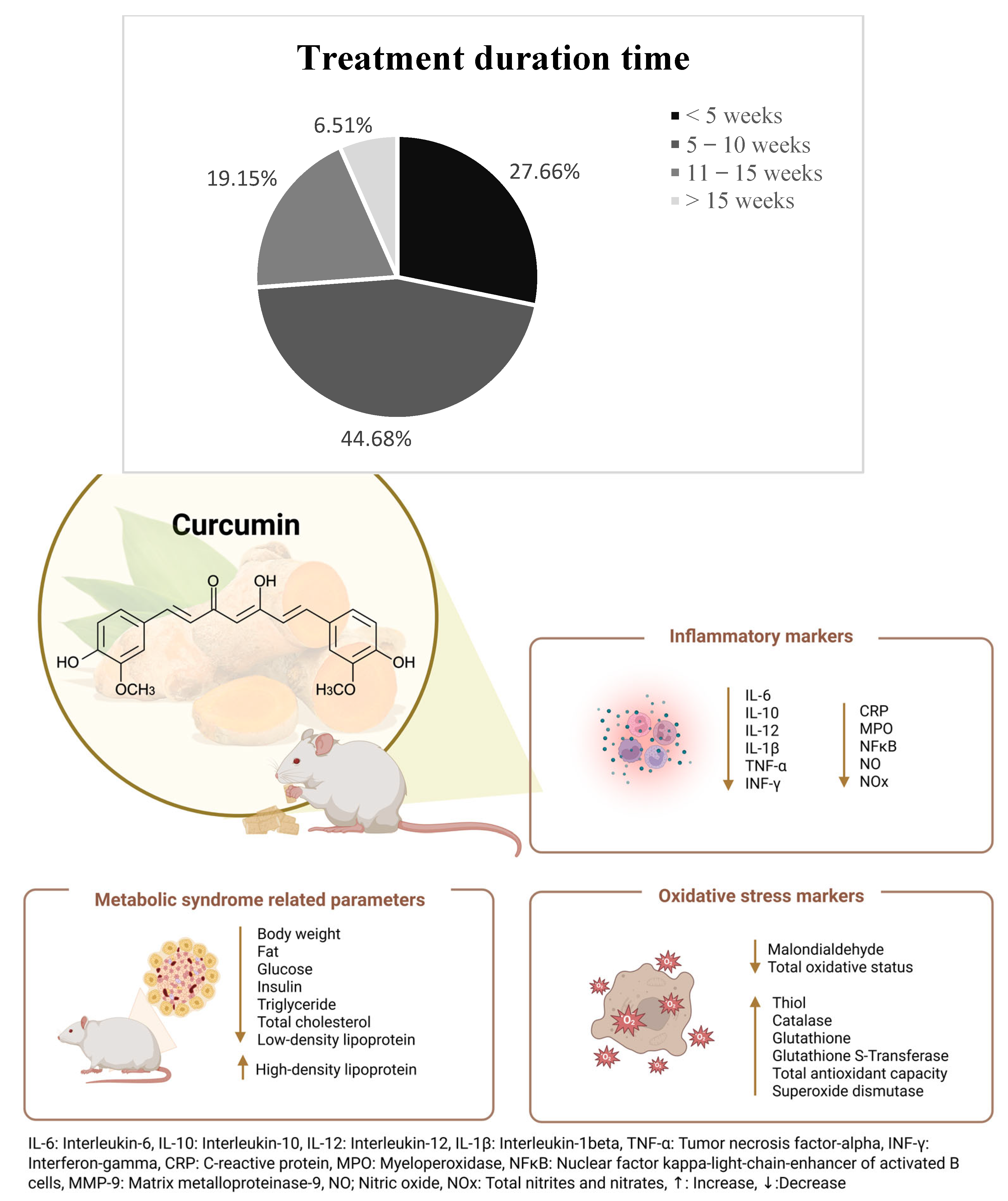 Biomedicines 13 01911 g005 Biomedicines 13 01911 g005