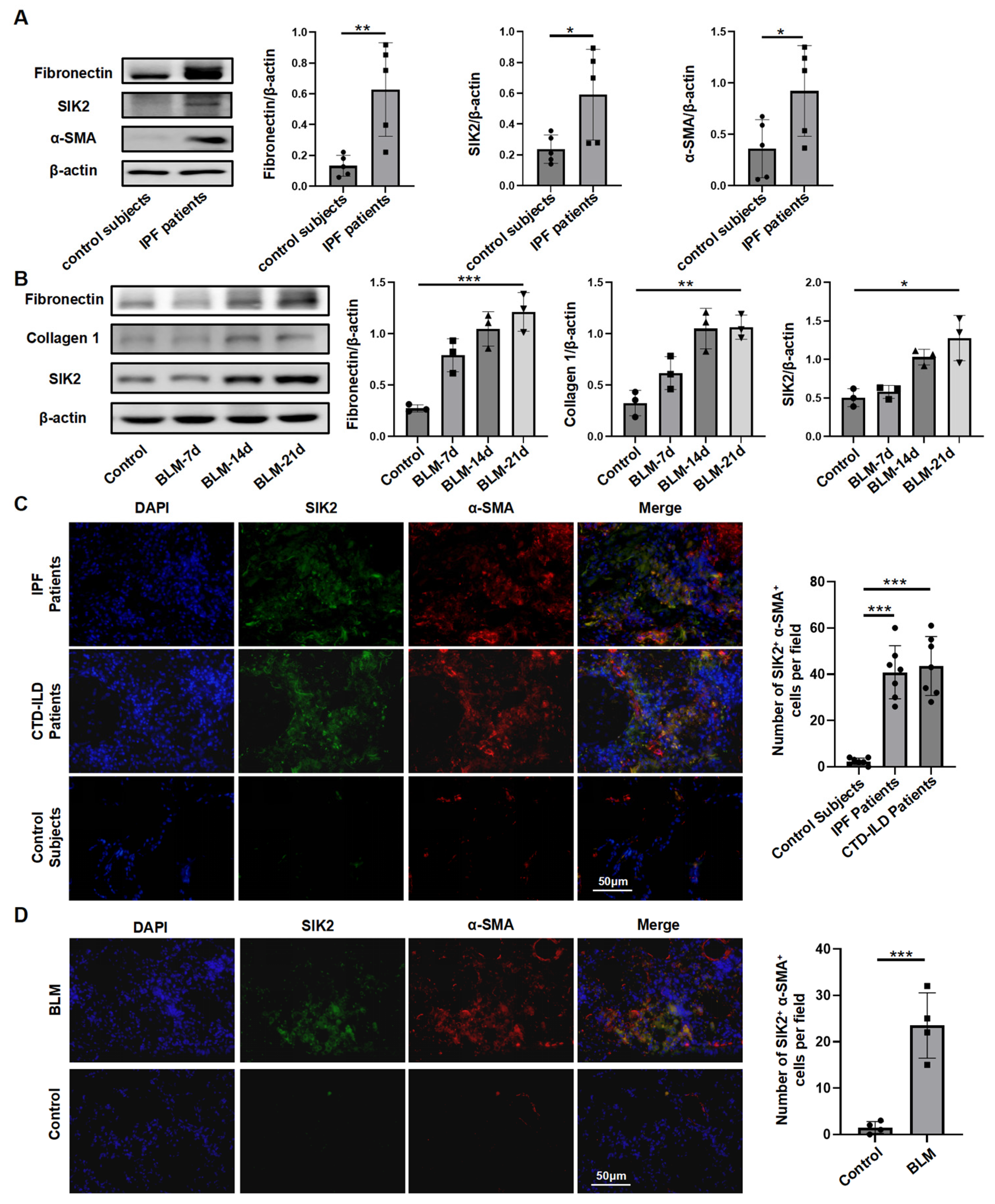 Biomedicines 13 01919 g001
