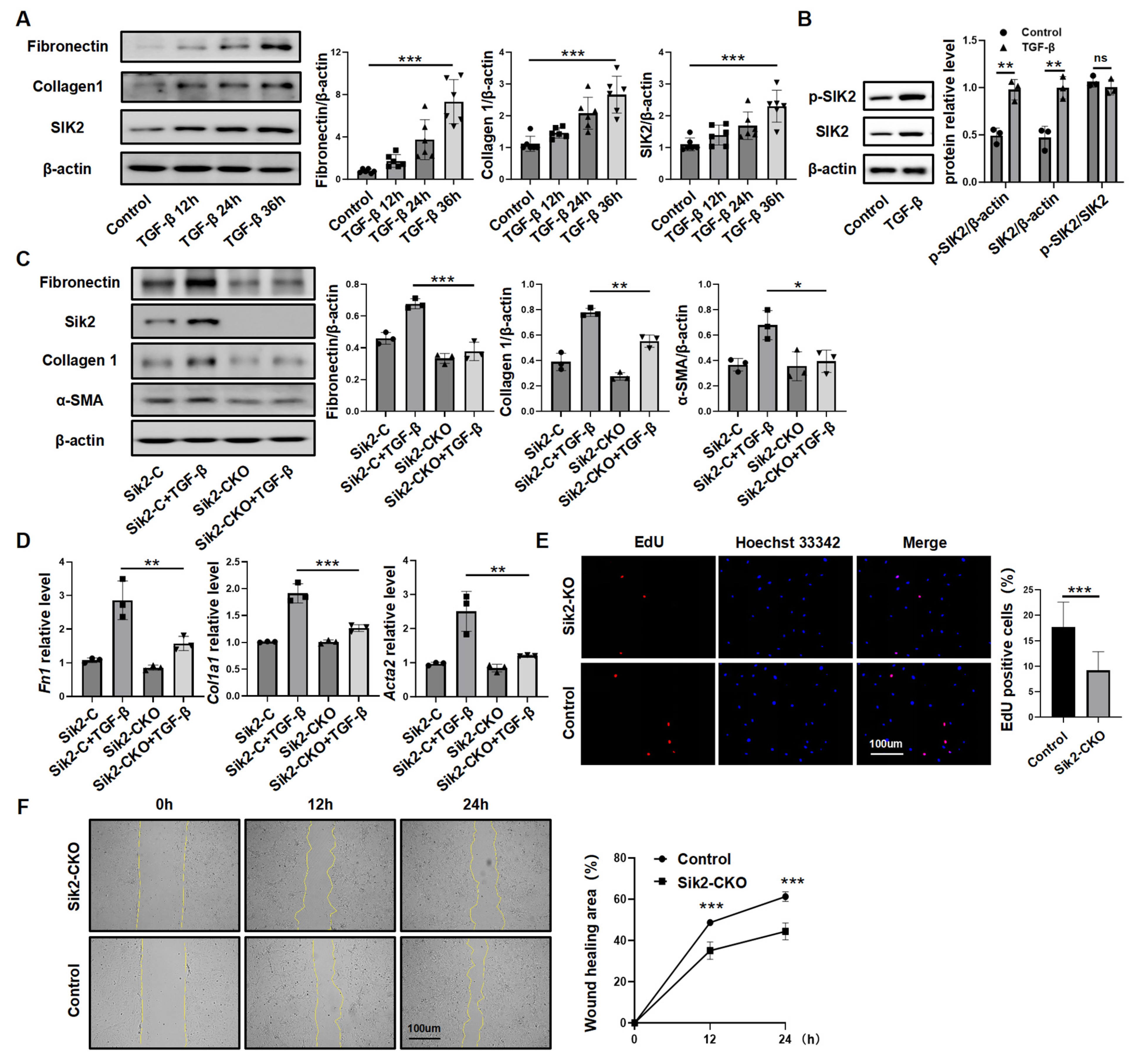 Biomedicines 13 01919 g003