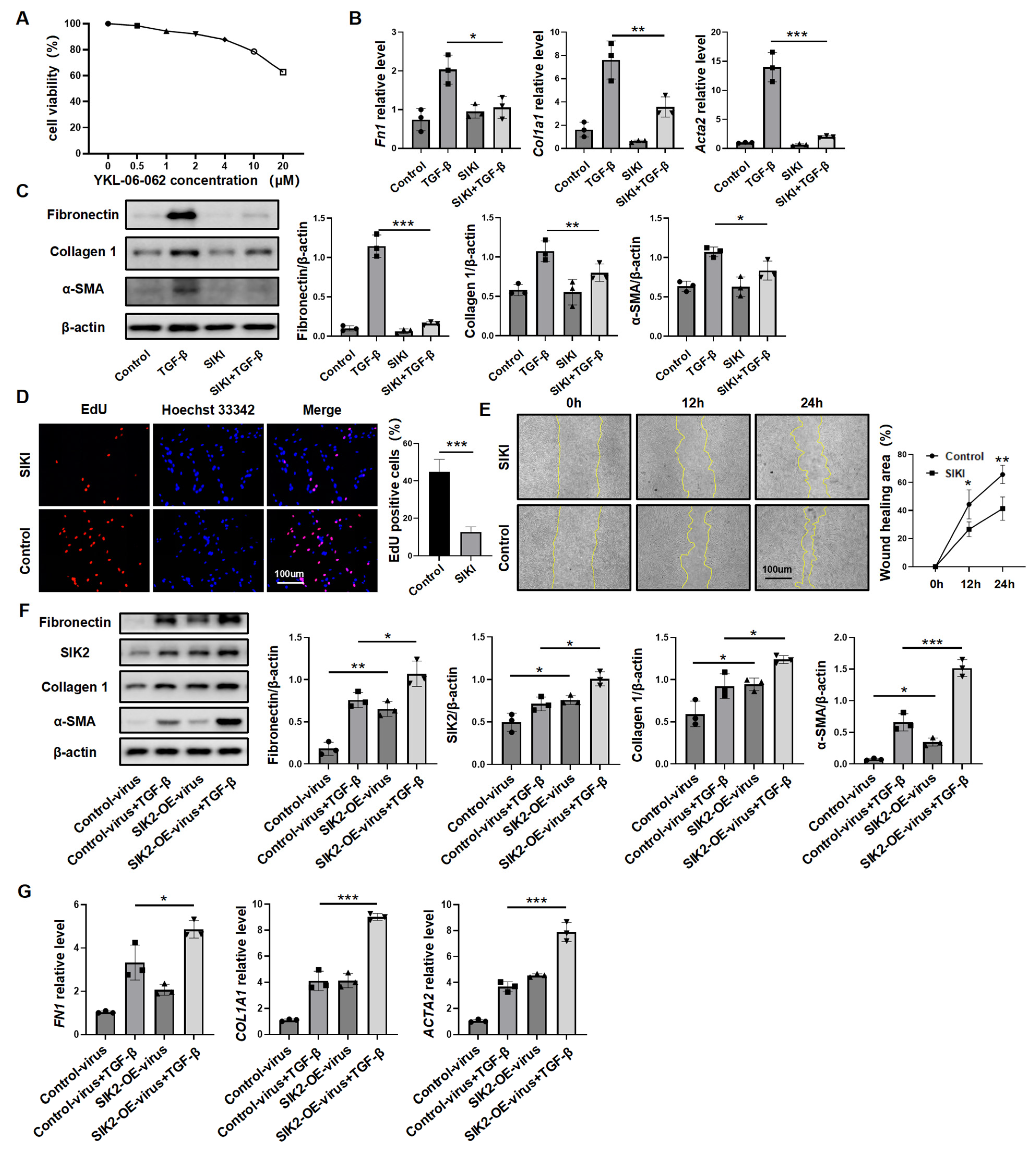 Biomedicines 13 01919 g004