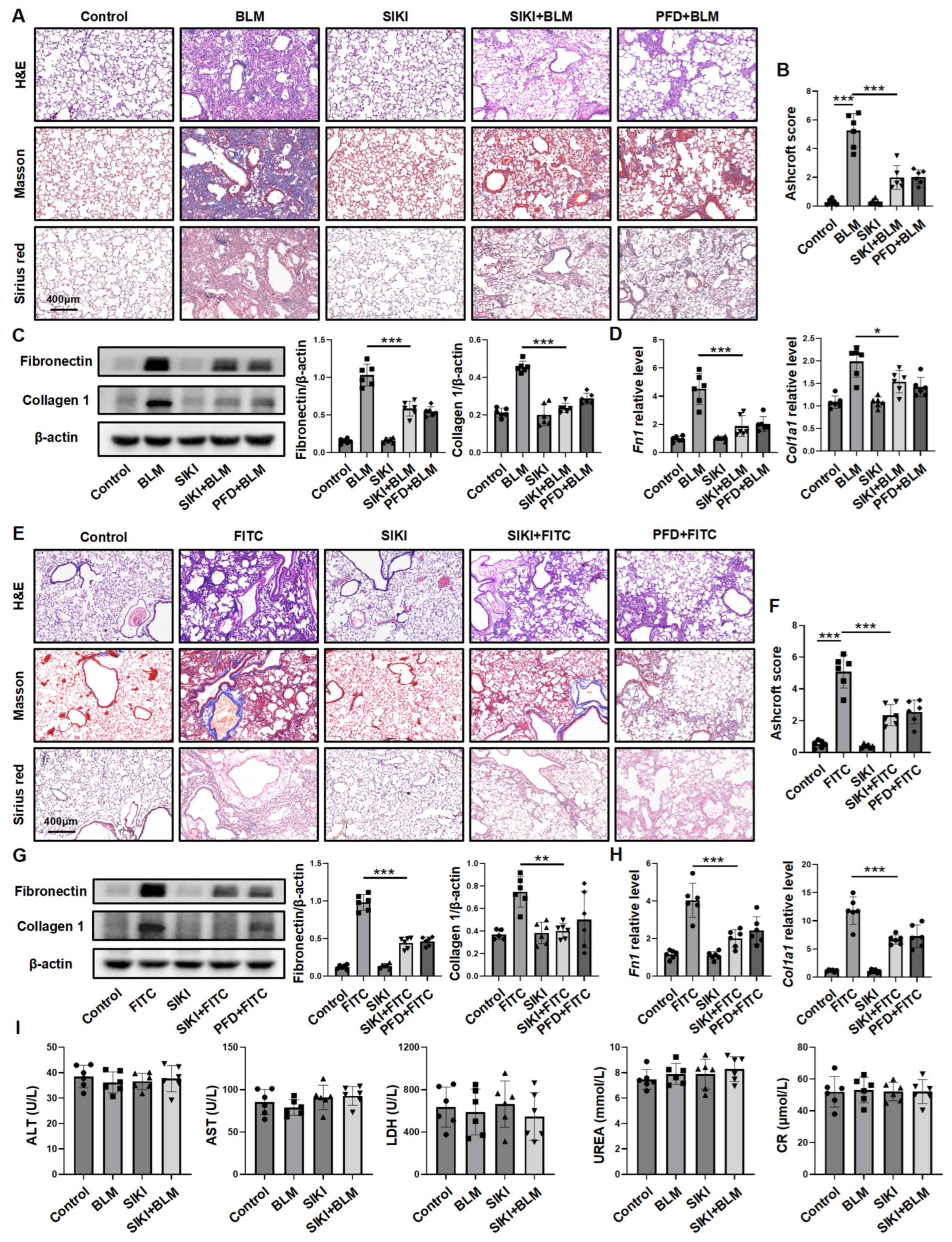 Biomedicines 13 01919 g007