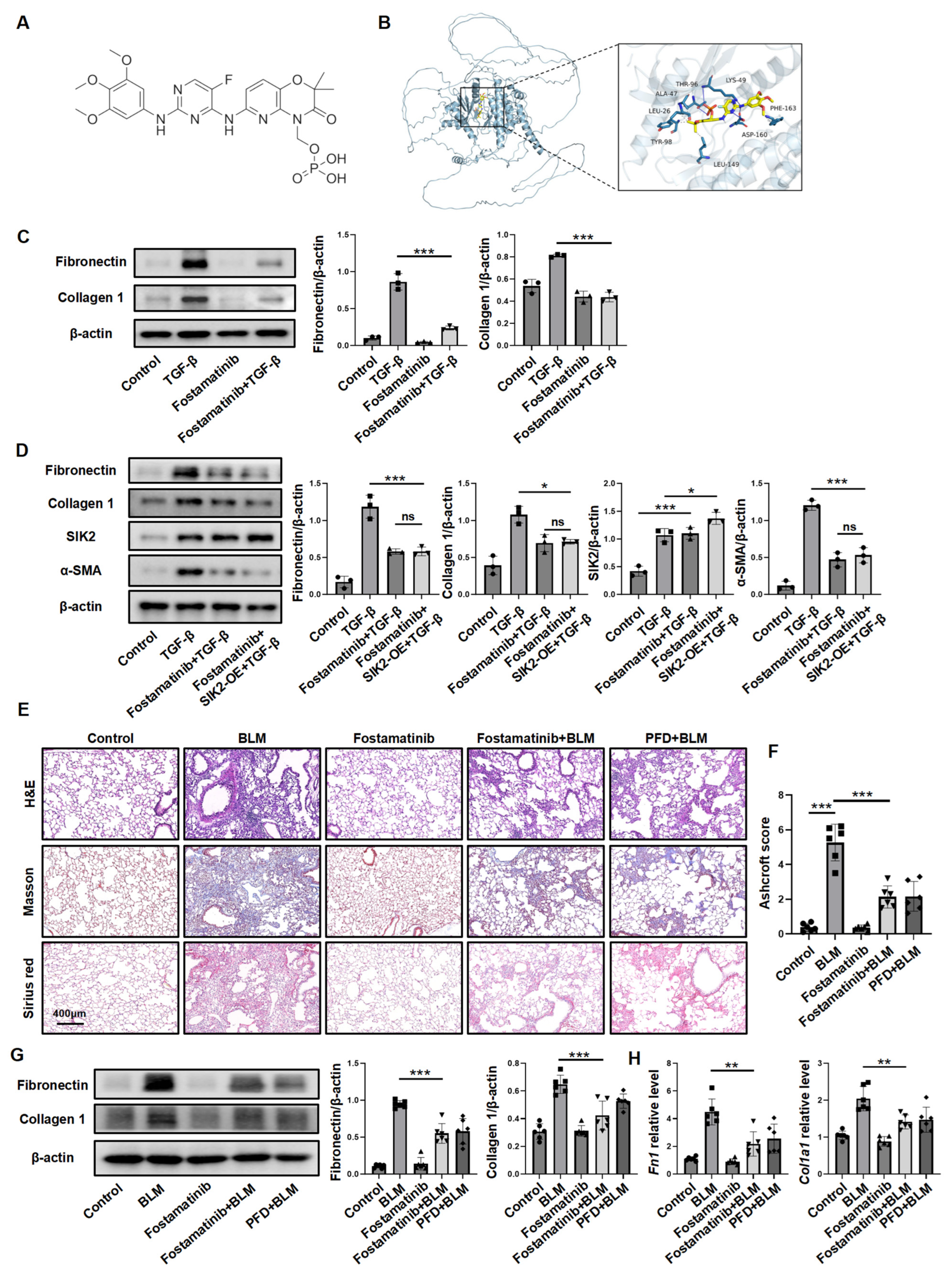 Biomedicines 13 01919 g008