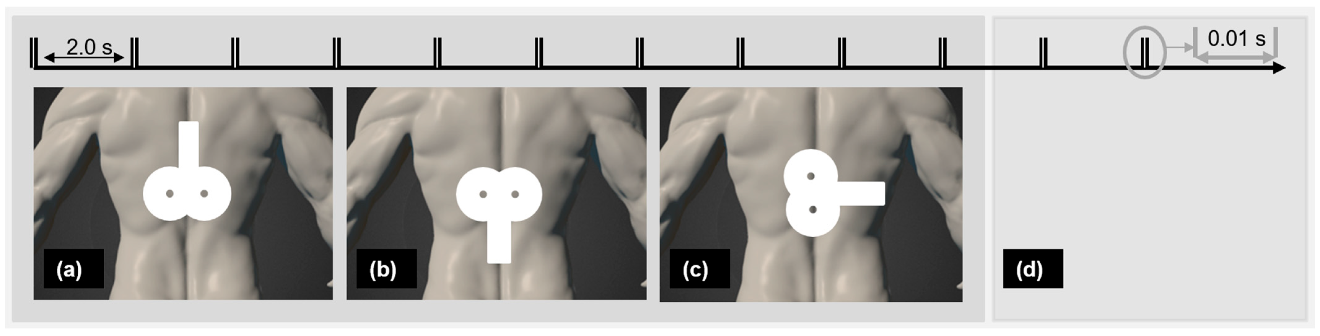 Biomedicines 13 01920 g001
