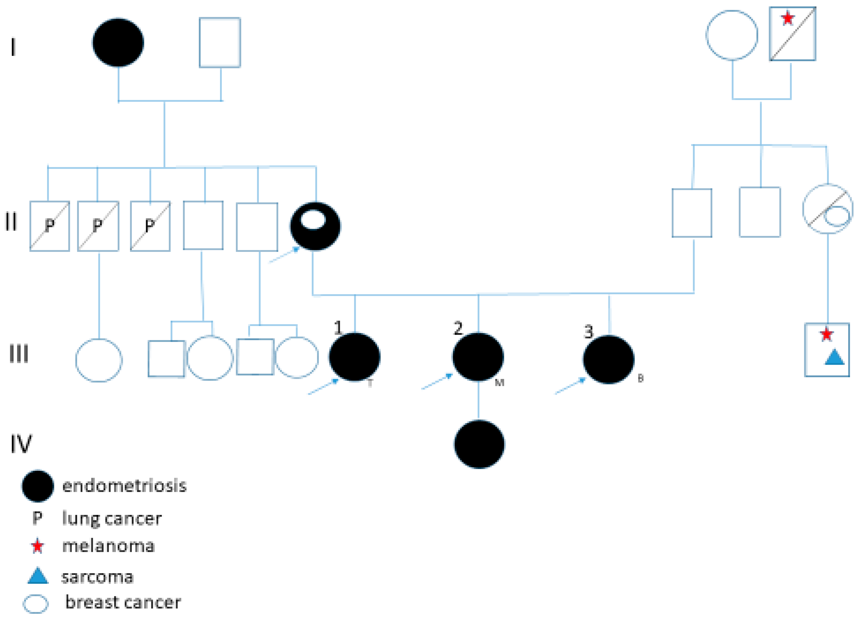 Biomedicines 13 01922 g001