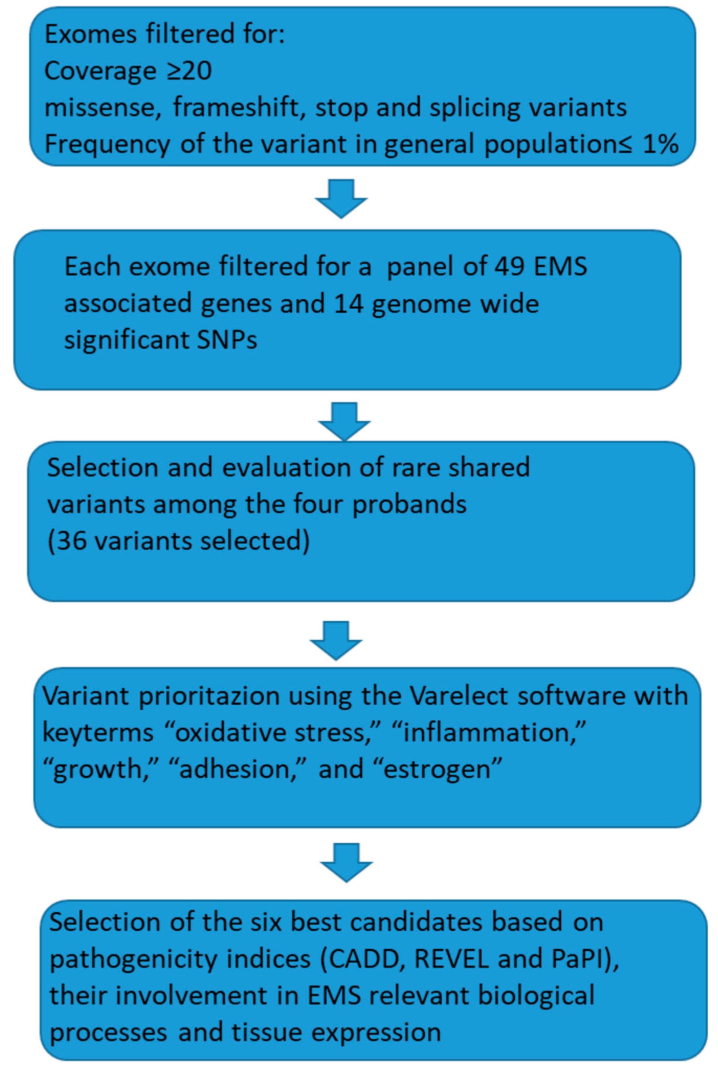 Biomedicines 13 01922 g002