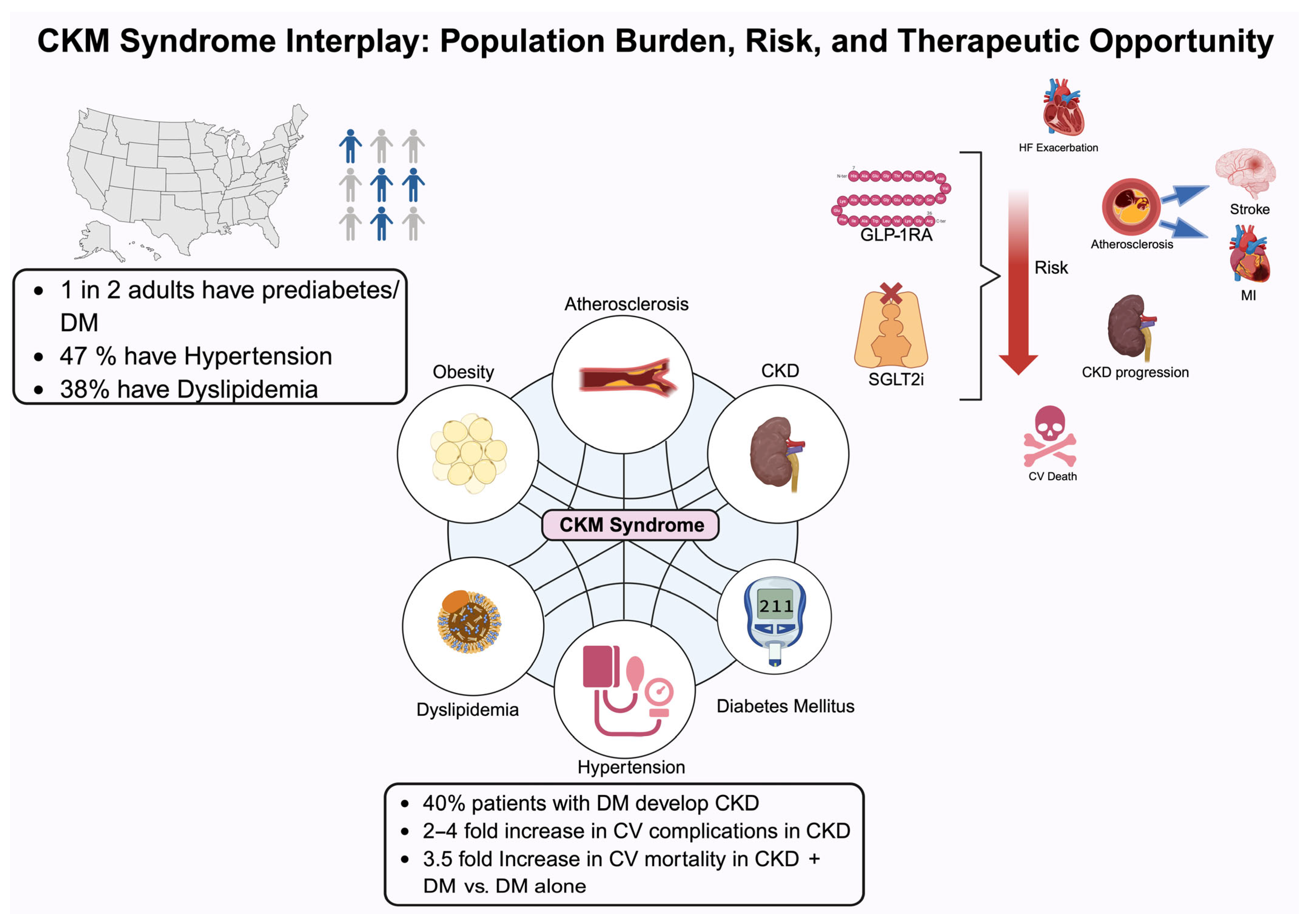 Biomedicines 13 01924 g001 Biomedicines 13 01924 g001