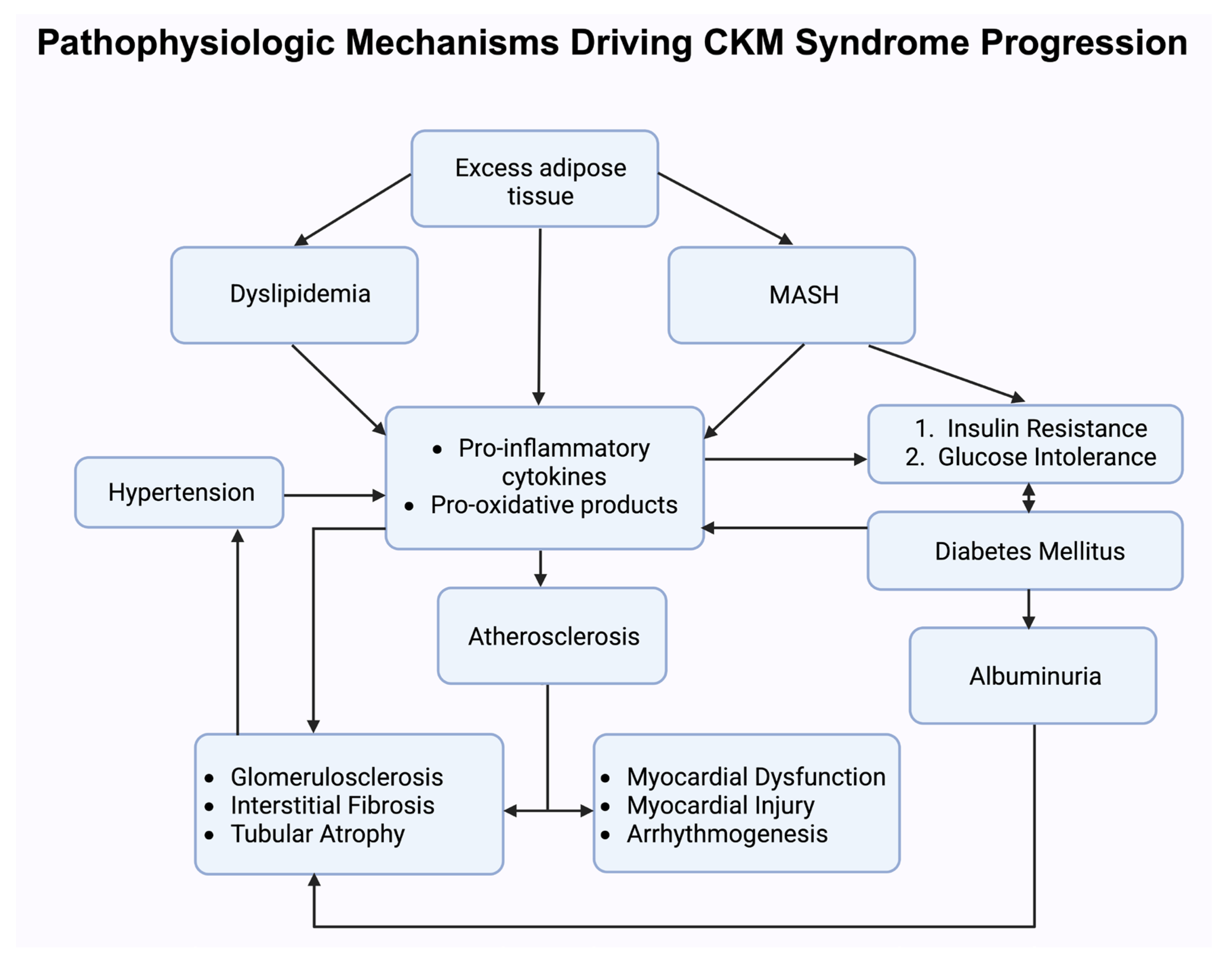 Biomedicines 13 01924 g002 Biomedicines 13 01924 g002