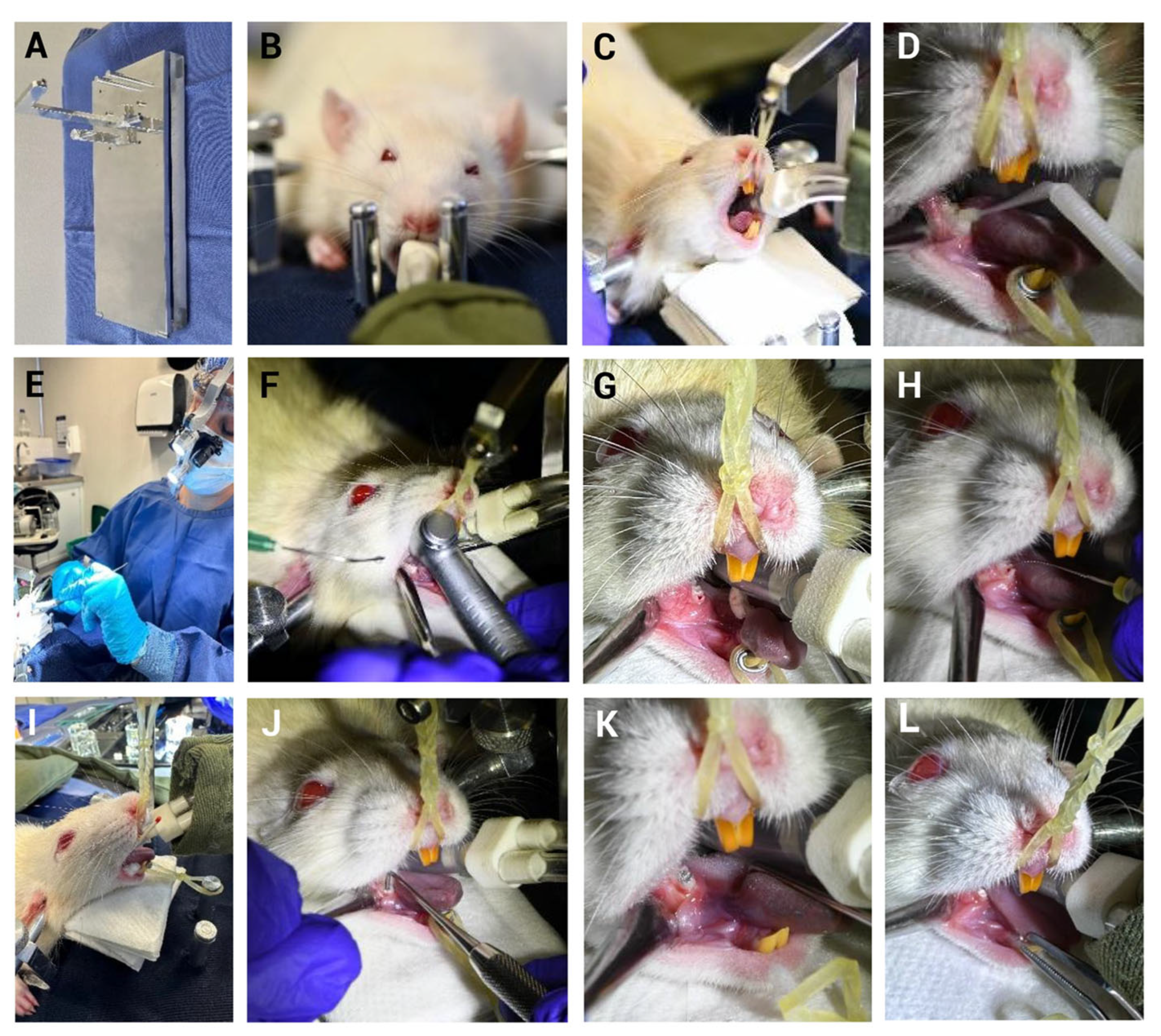 Biomedicines 13 01925 g003