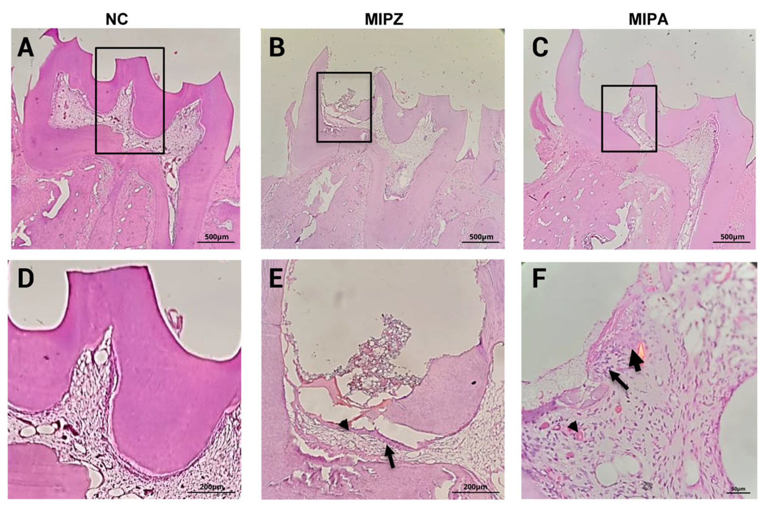 Biomedicines 13 01925 g005