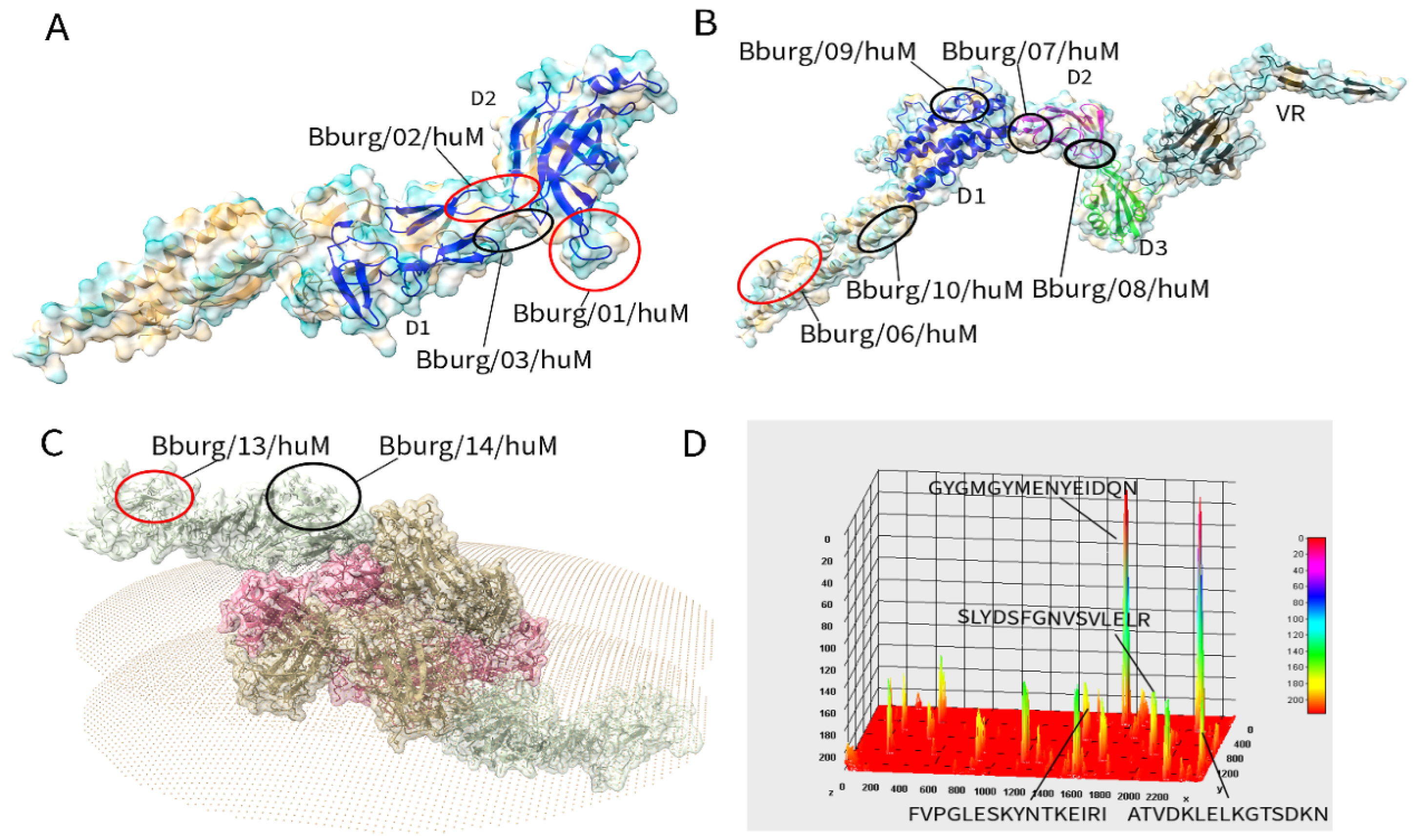 Biomedicines 13 01930 g002