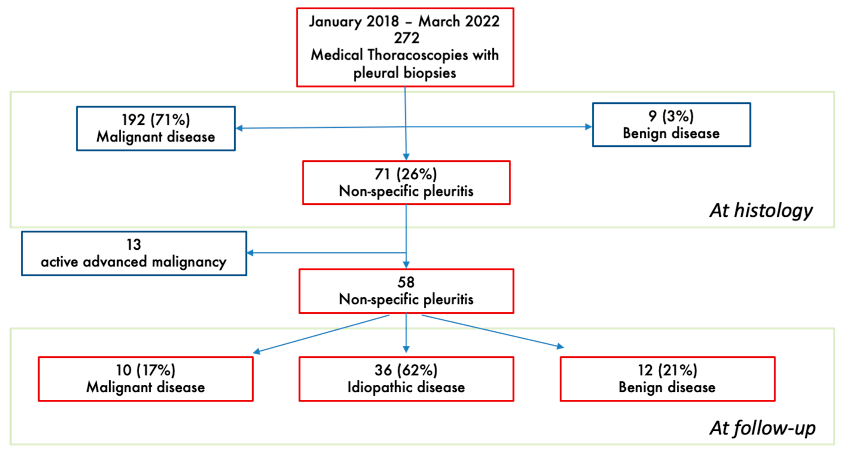 Biomedicines 13 01934 g001