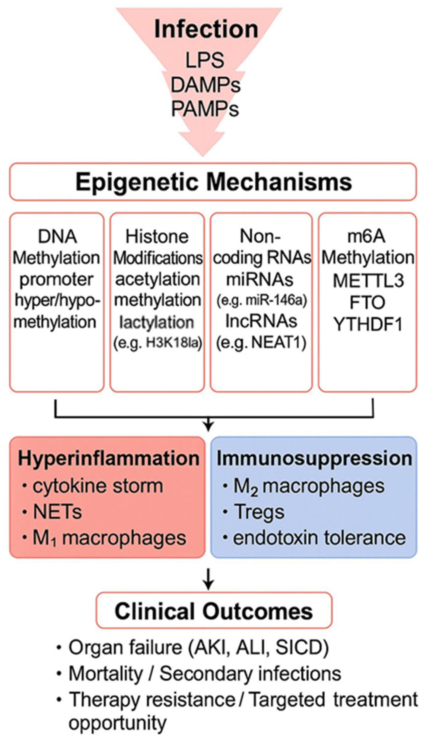 Biomedicines 13 01936 g001