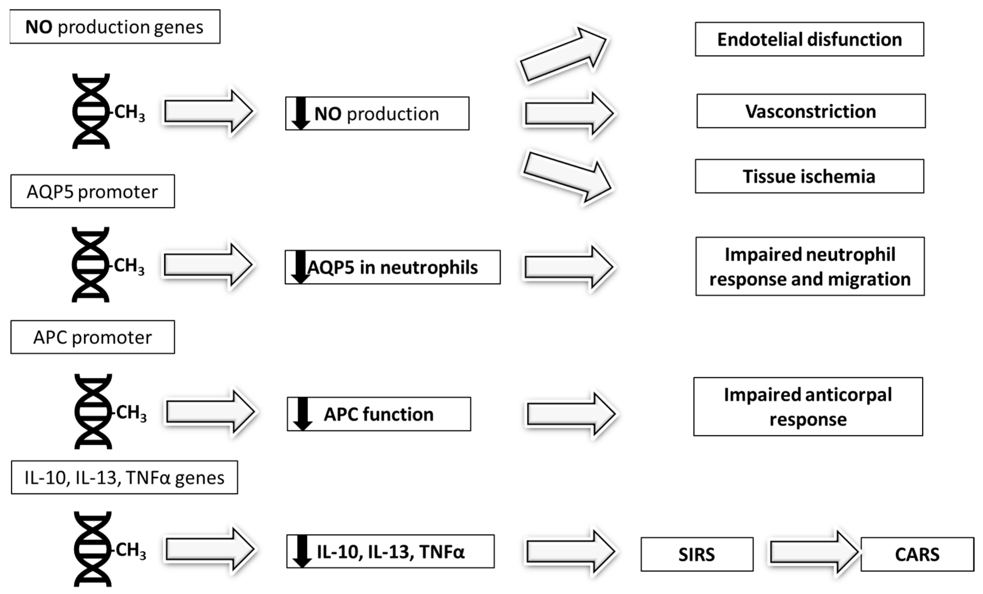 Biomedicines 13 01936 g002