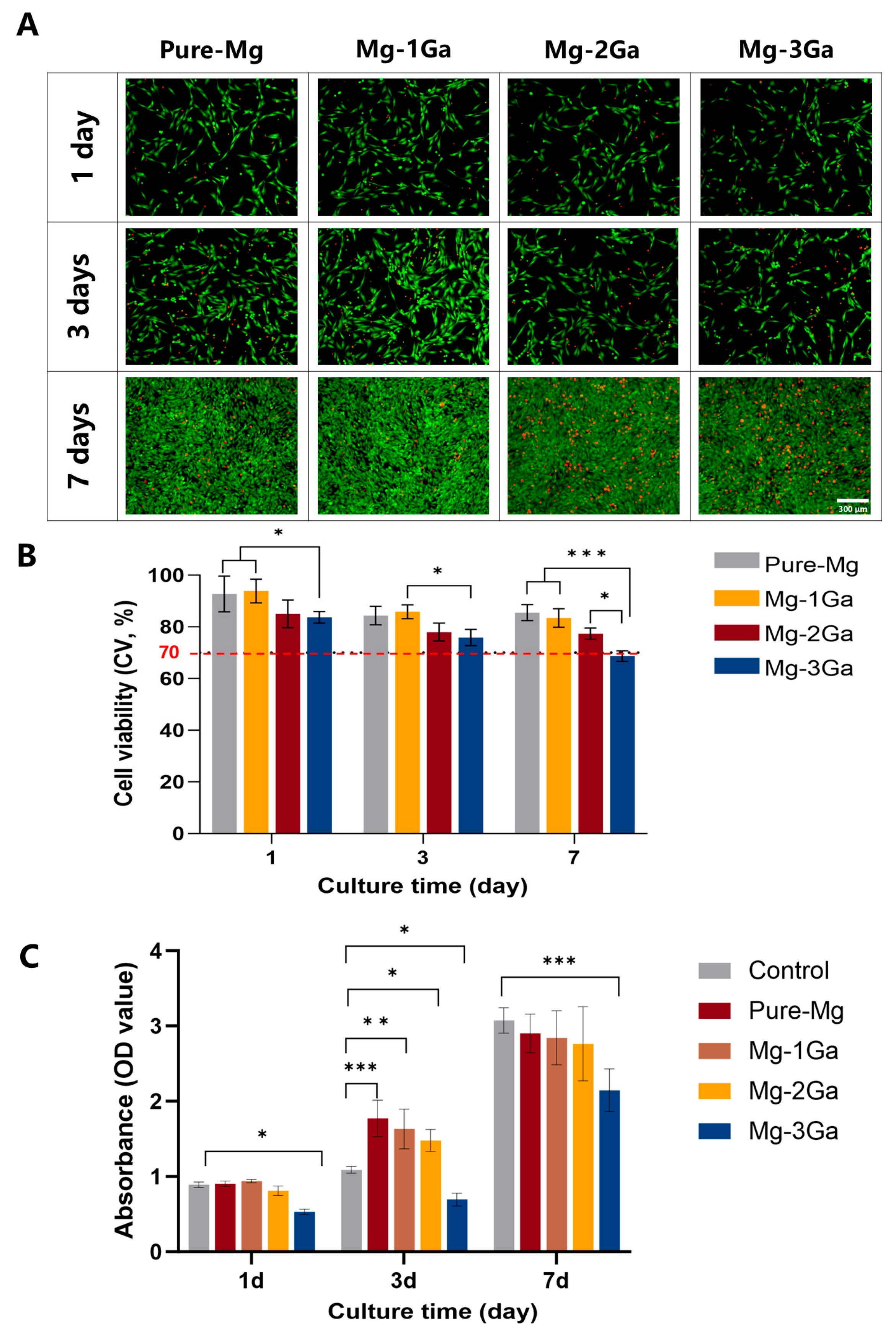 Biomedicines 13 01940 g001 Biomedicines 13 01940 g001