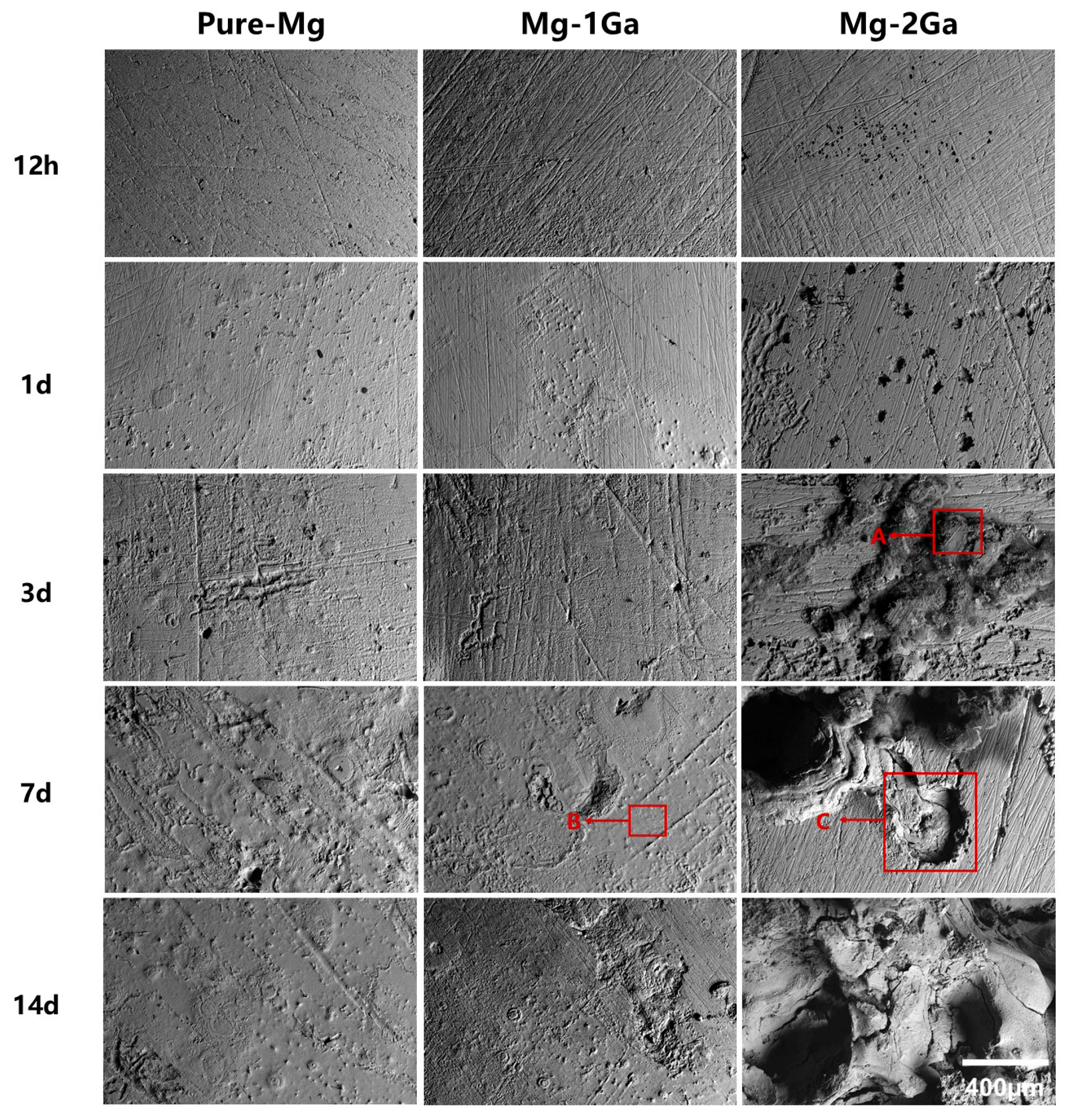Biomedicines 13 01940 g003 Biomedicines 13 01940 g003