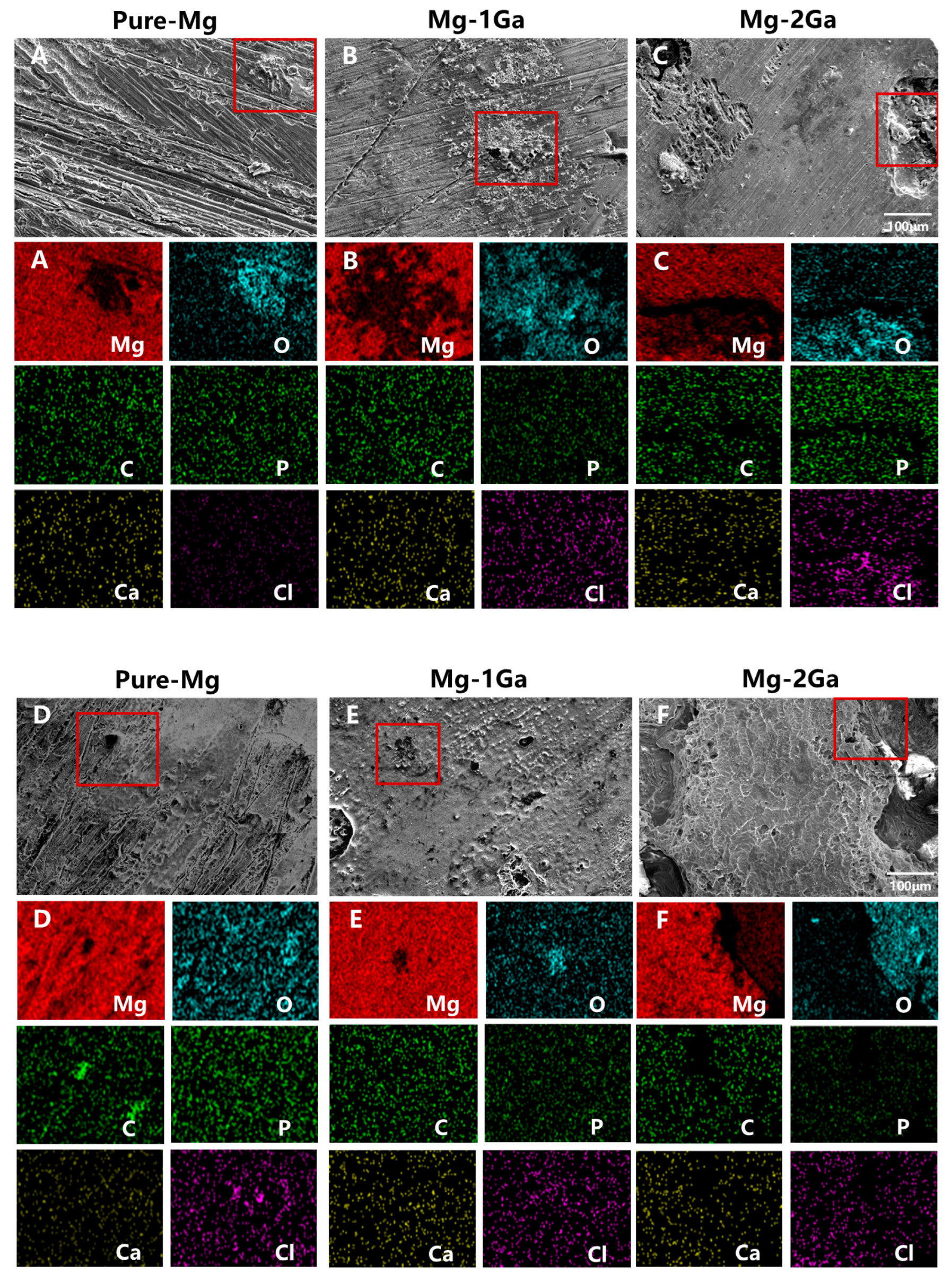 Biomedicines 13 01940 g004 Biomedicines 13 01940 g004