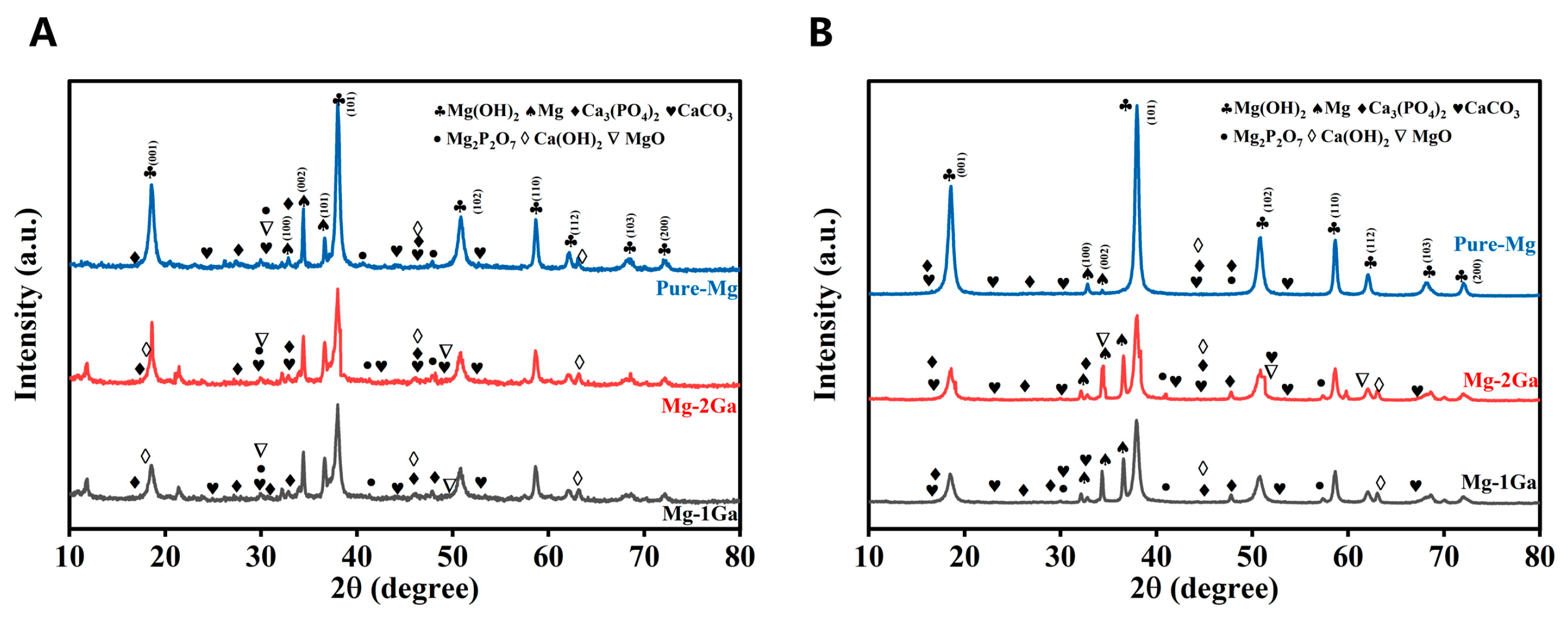 Biomedicines 13 01940 g005 Biomedicines 13 01940 g005