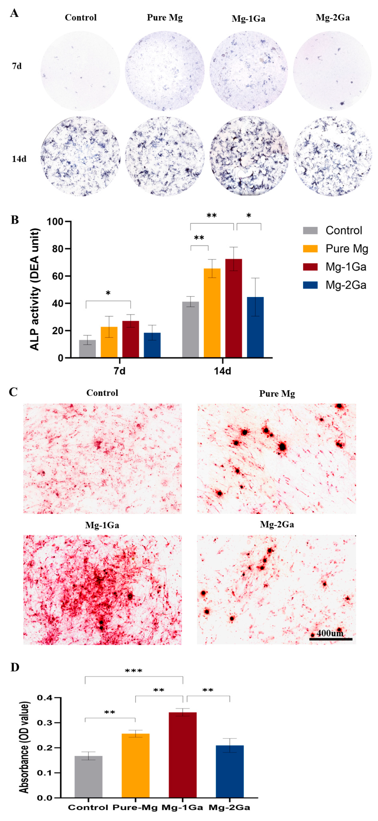 Biomedicines 13 01940 g007 Biomedicines 13 01940 g007