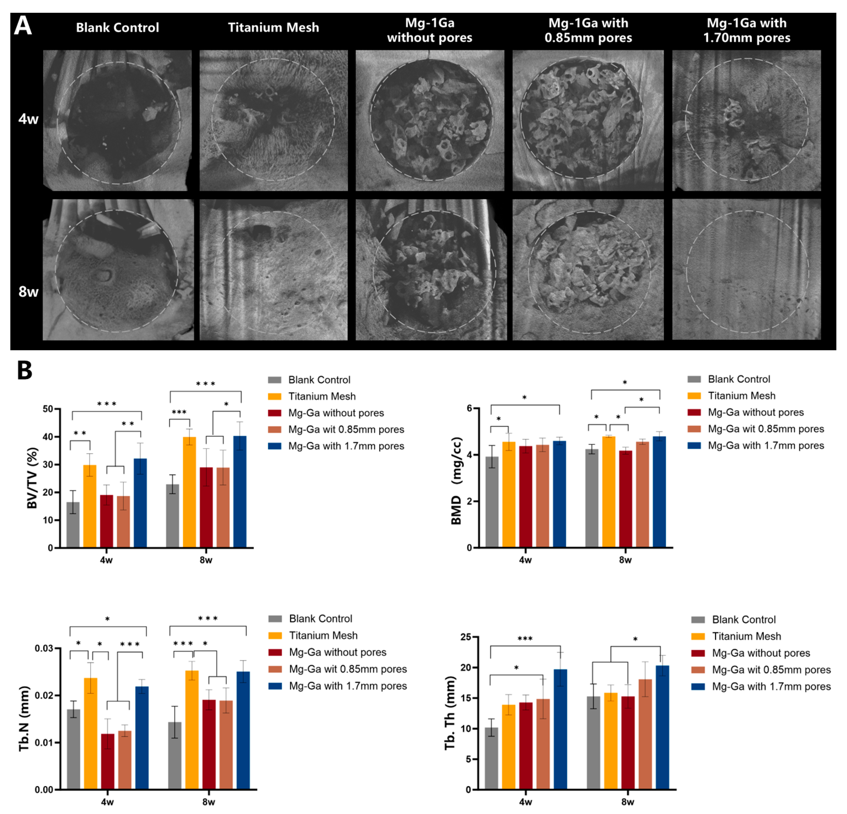 Biomedicines 13 01940 g012 Biomedicines 13 01940 g012