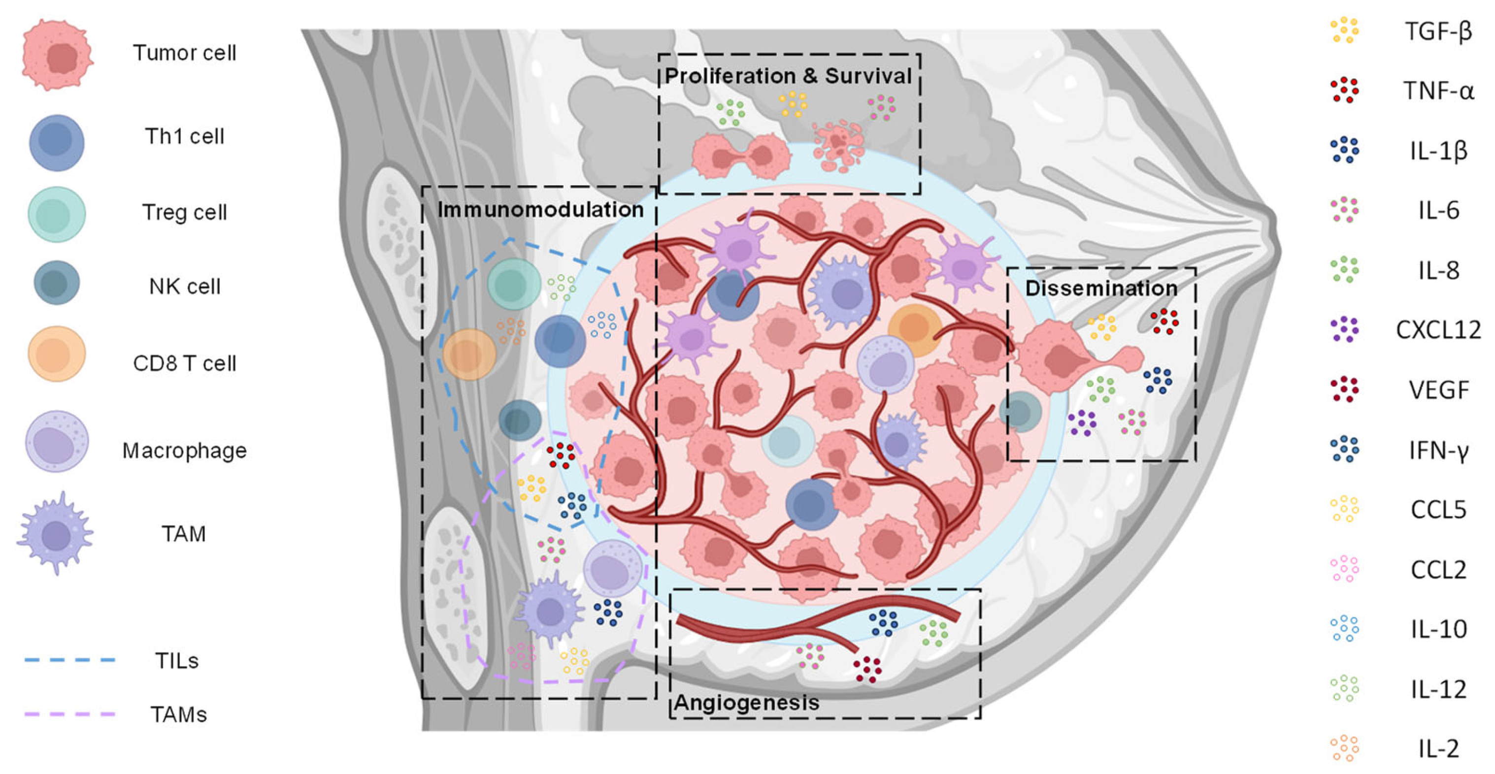 Biomedicines 13 01945 g001