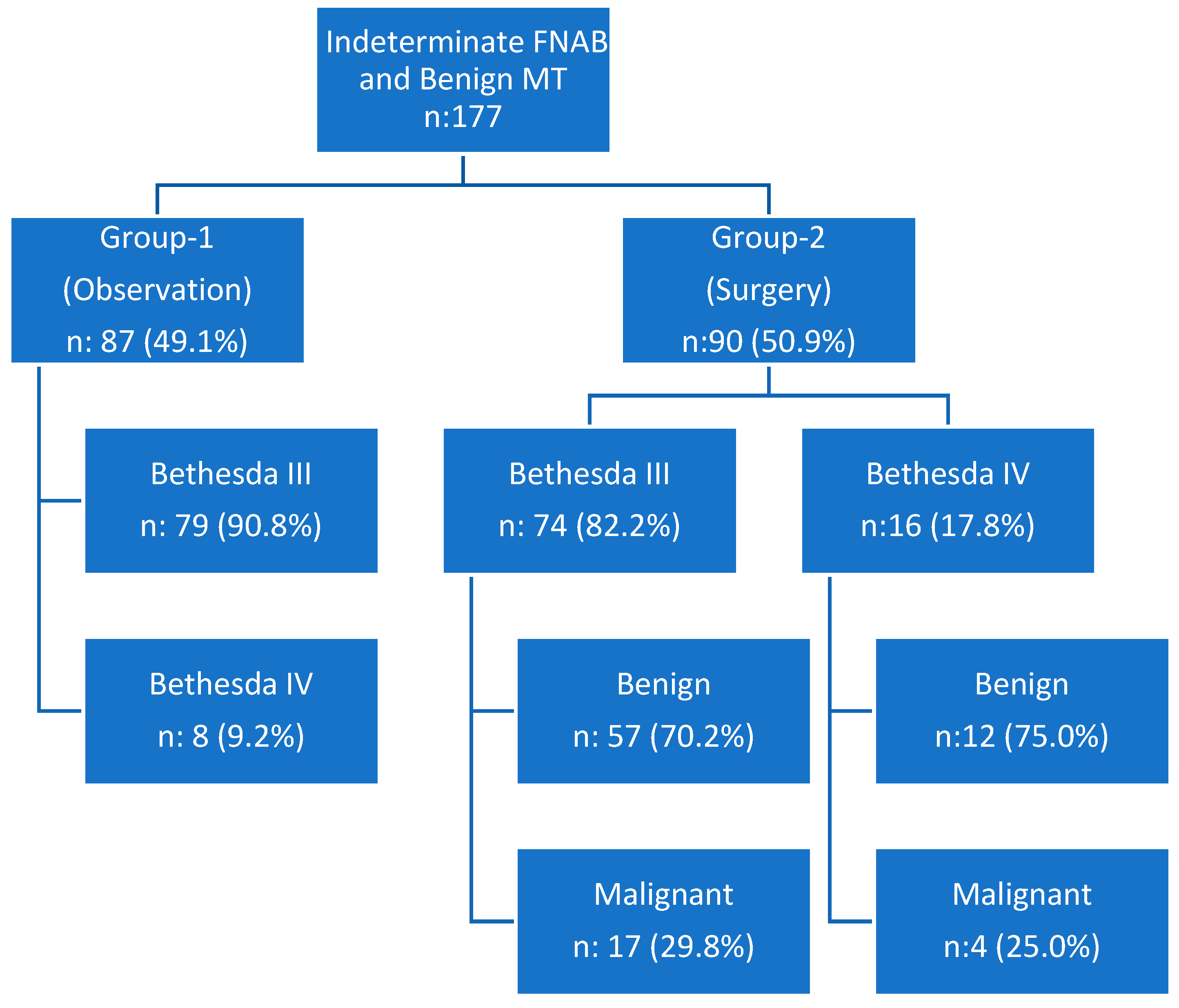 Biomedicines 13 01947 g001