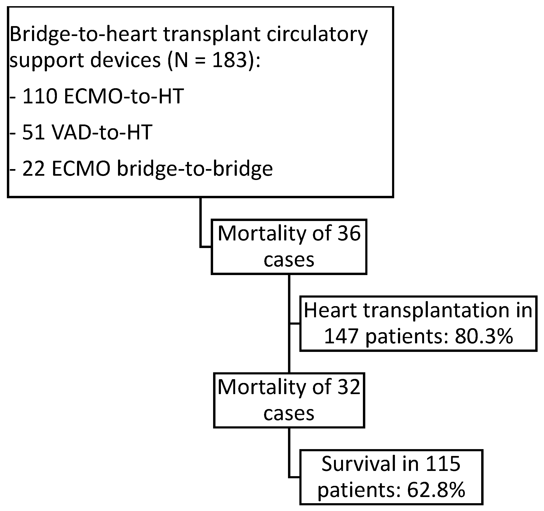 Biomedicines 13 01959 g001