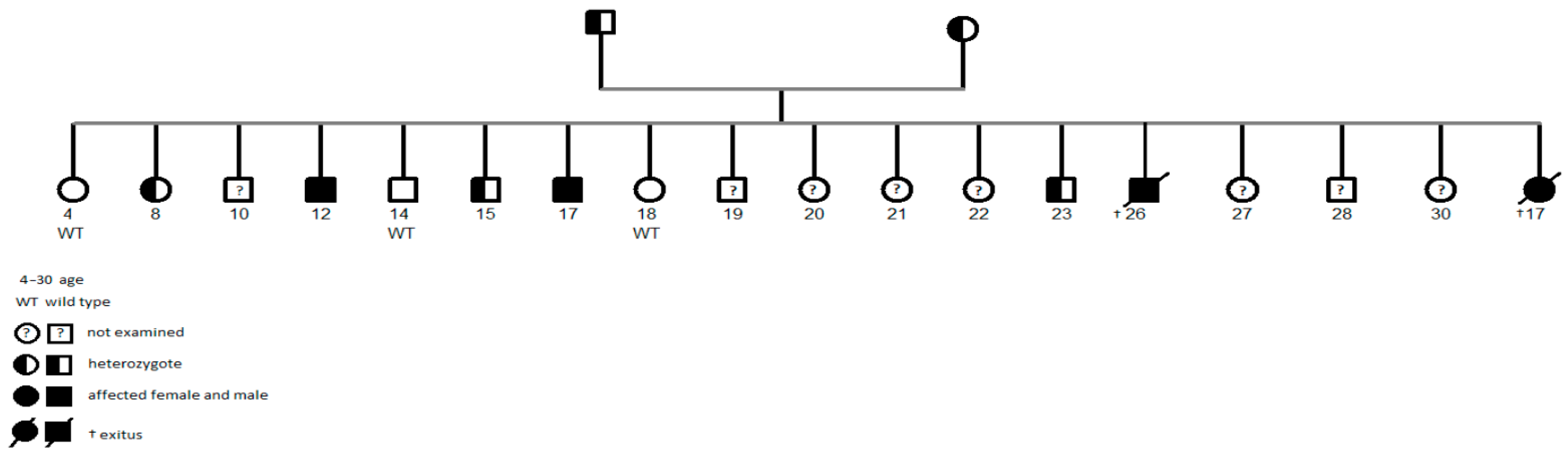 Biomedicines 13 01960 g002