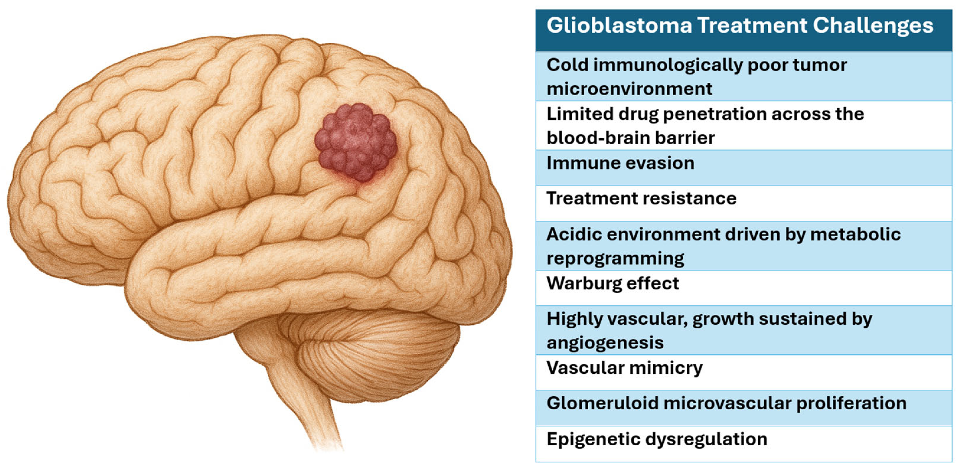 Biomedicines 13 01963 g001