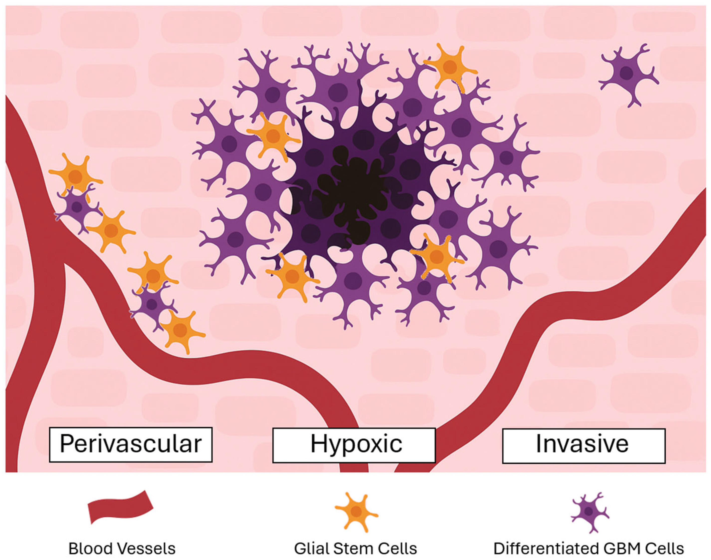 Biomedicines 13 01963 g002