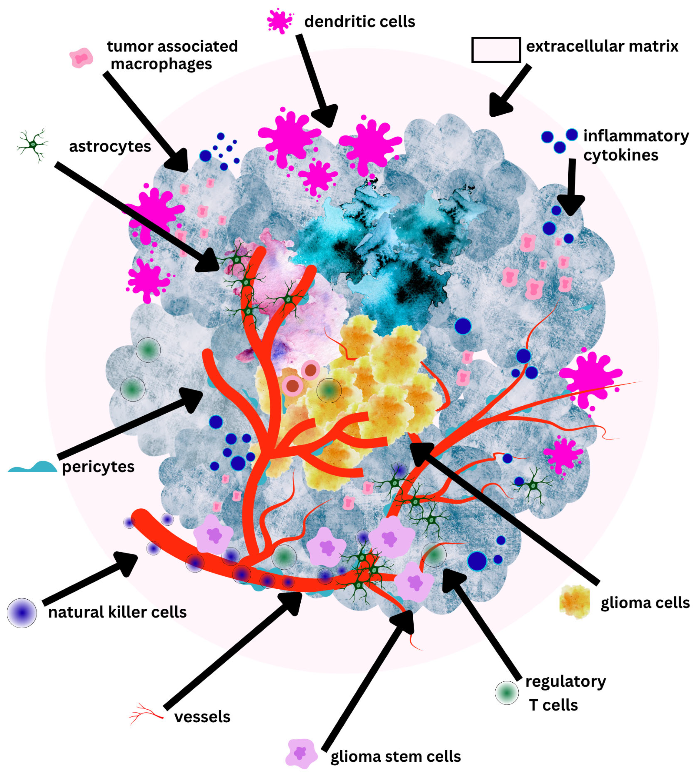 Biomedicines 13 01963 g003