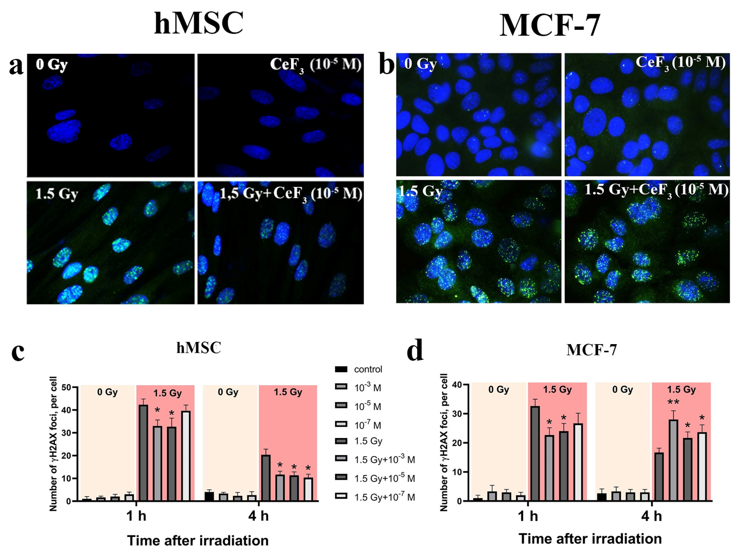 Biomedicines 13 01966 i001