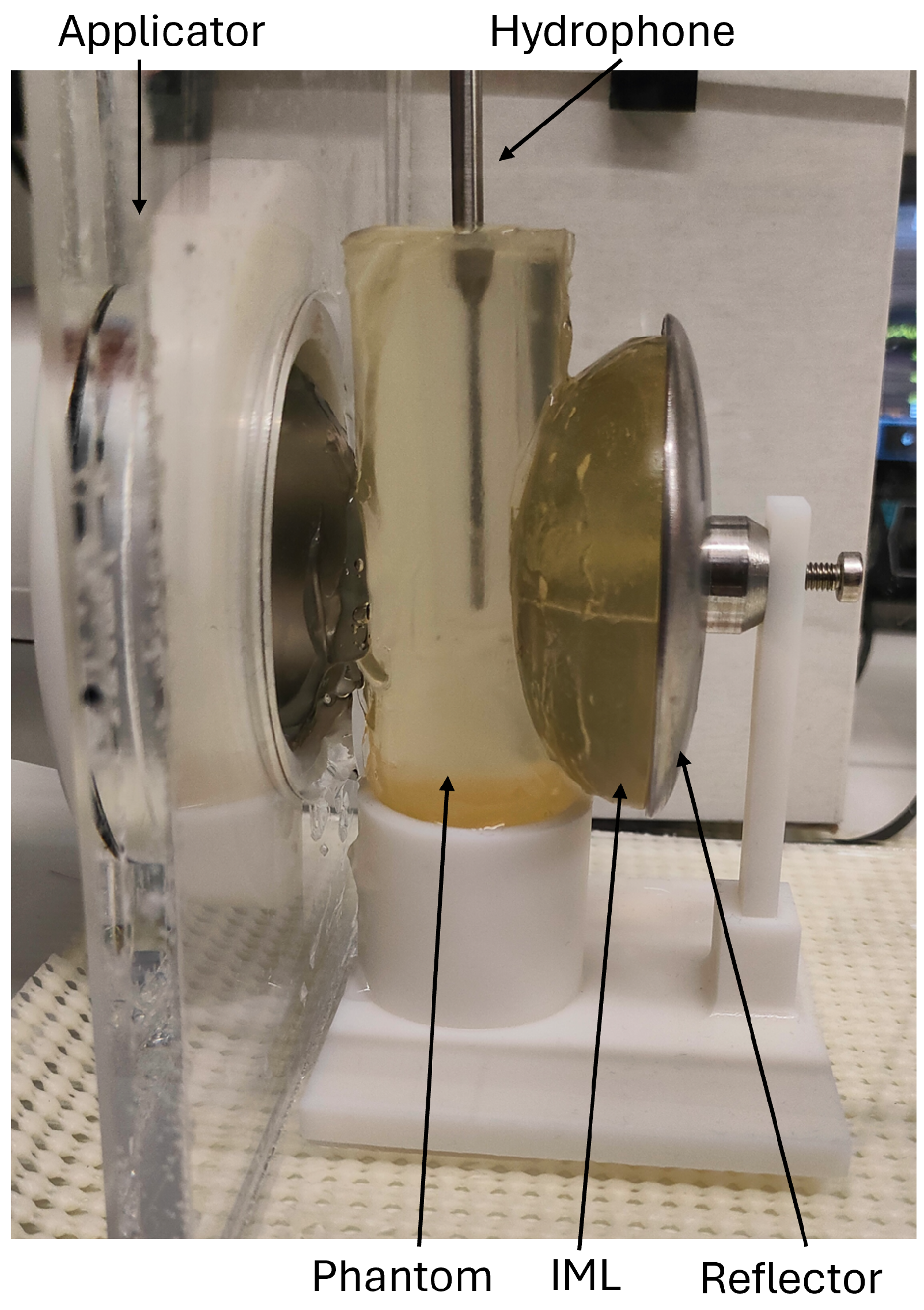 Biomedicines 13 01967 g004