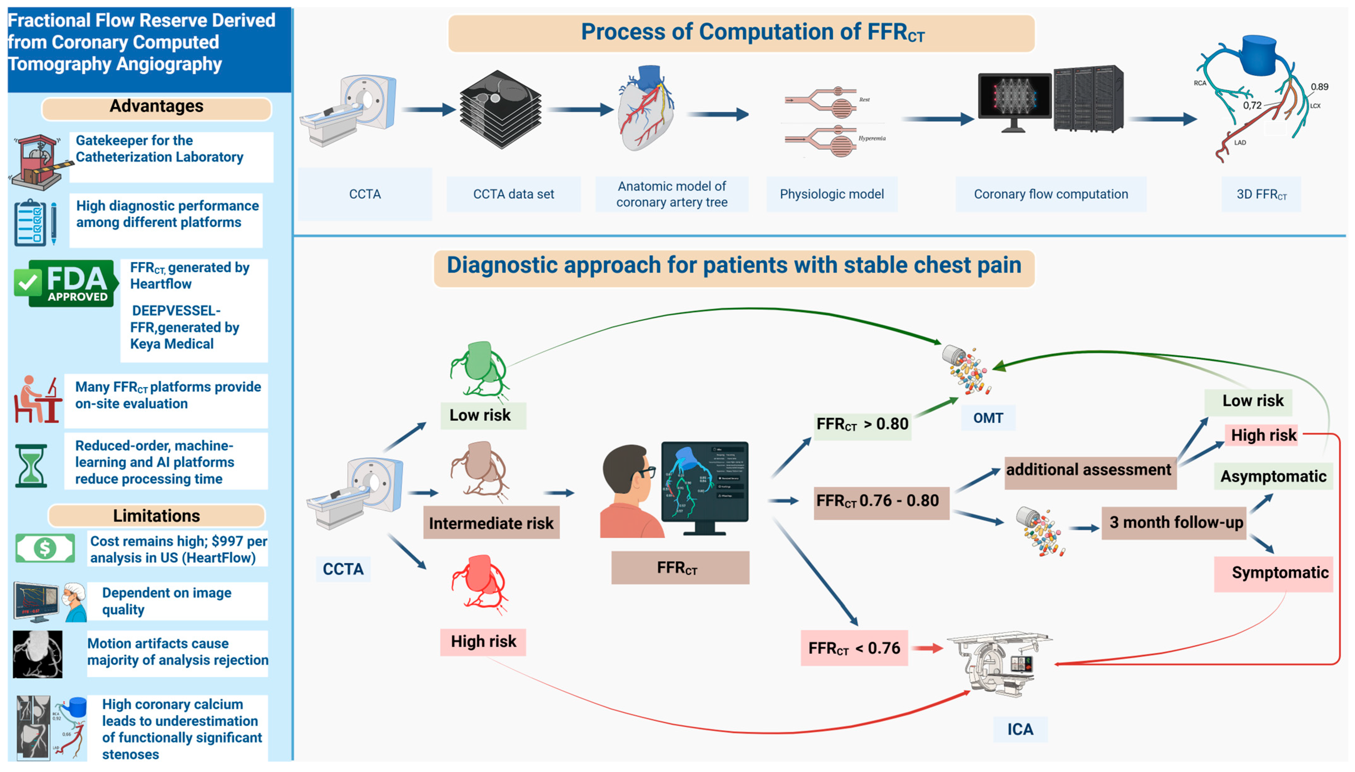 Biomedicines 13 01969 g001