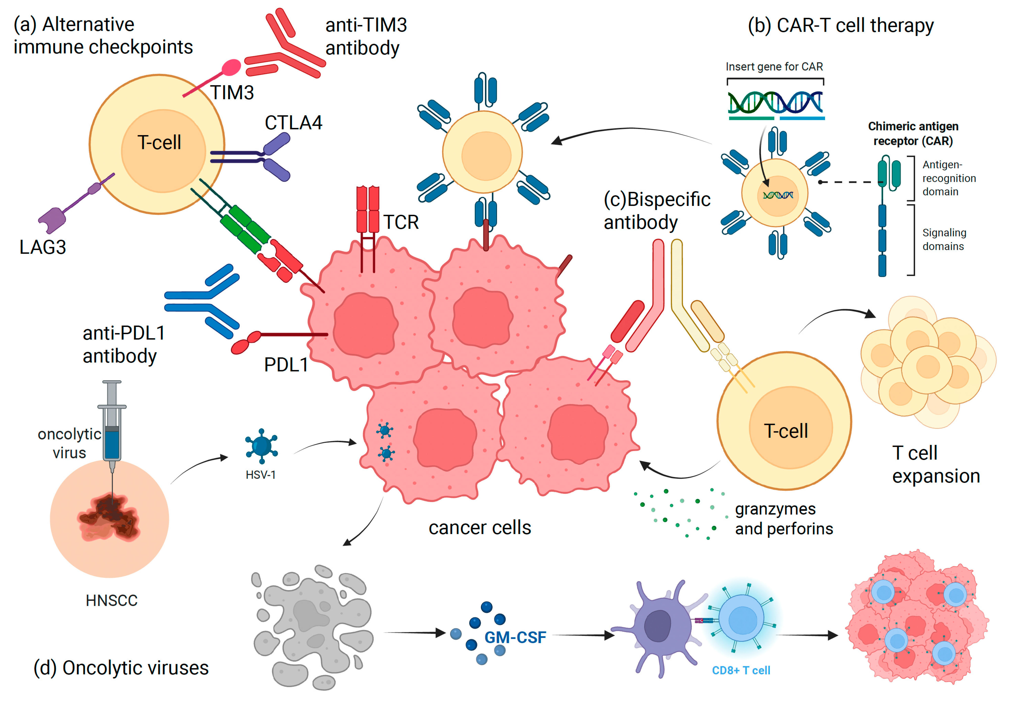 Biomedicines 13 01972 g001