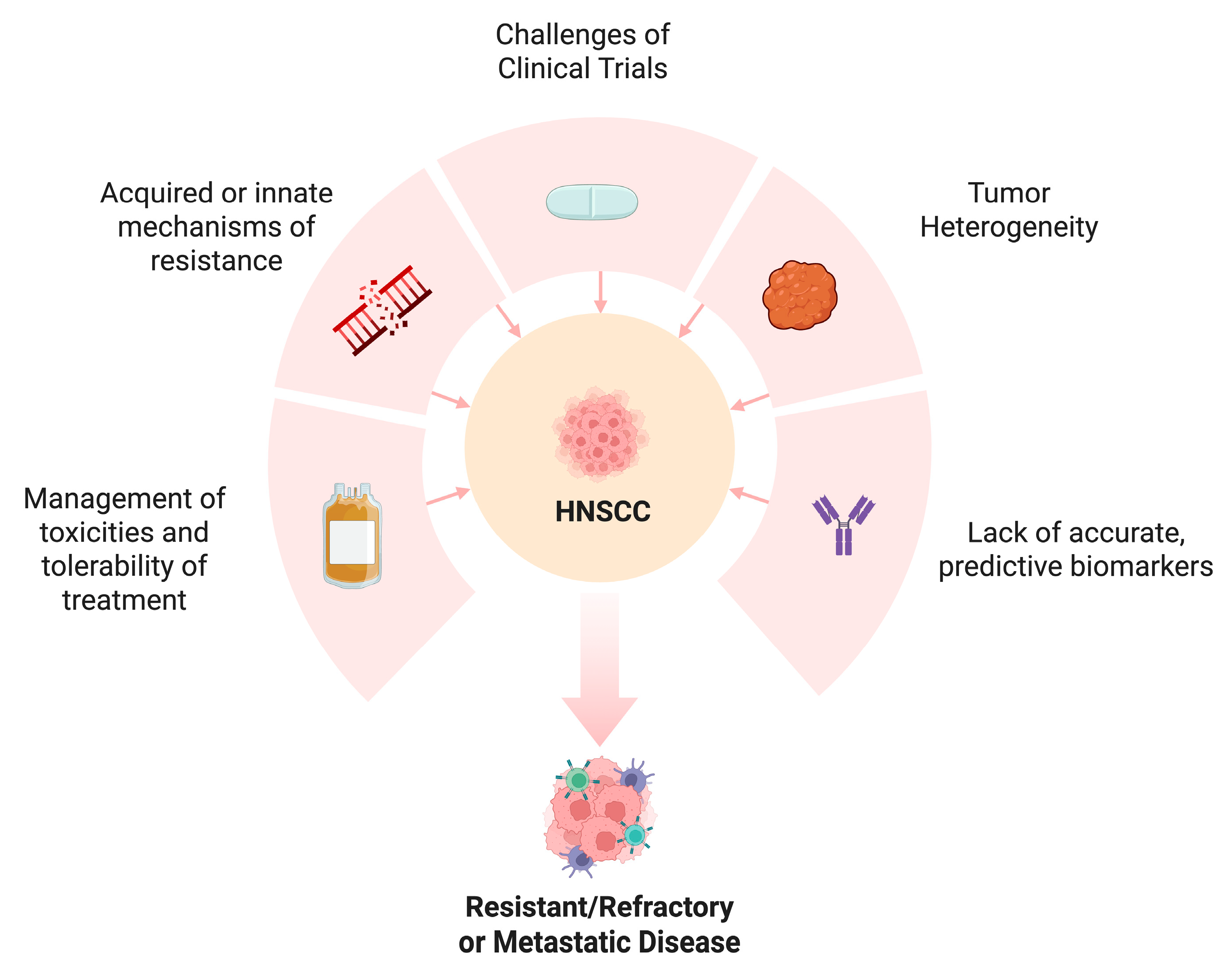 Biomedicines 13 01972 g004