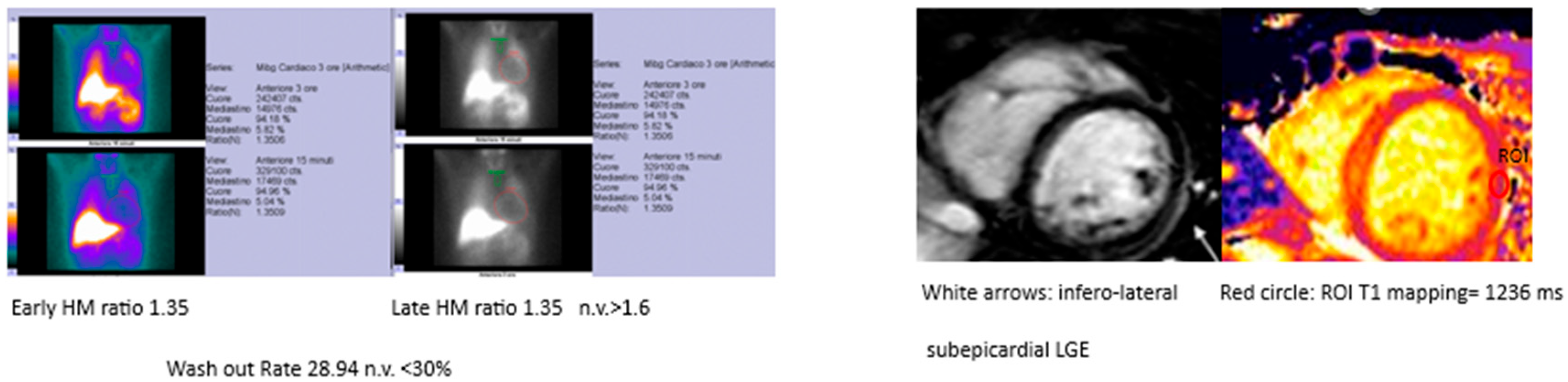 Biomedicines 13 01981 g002
