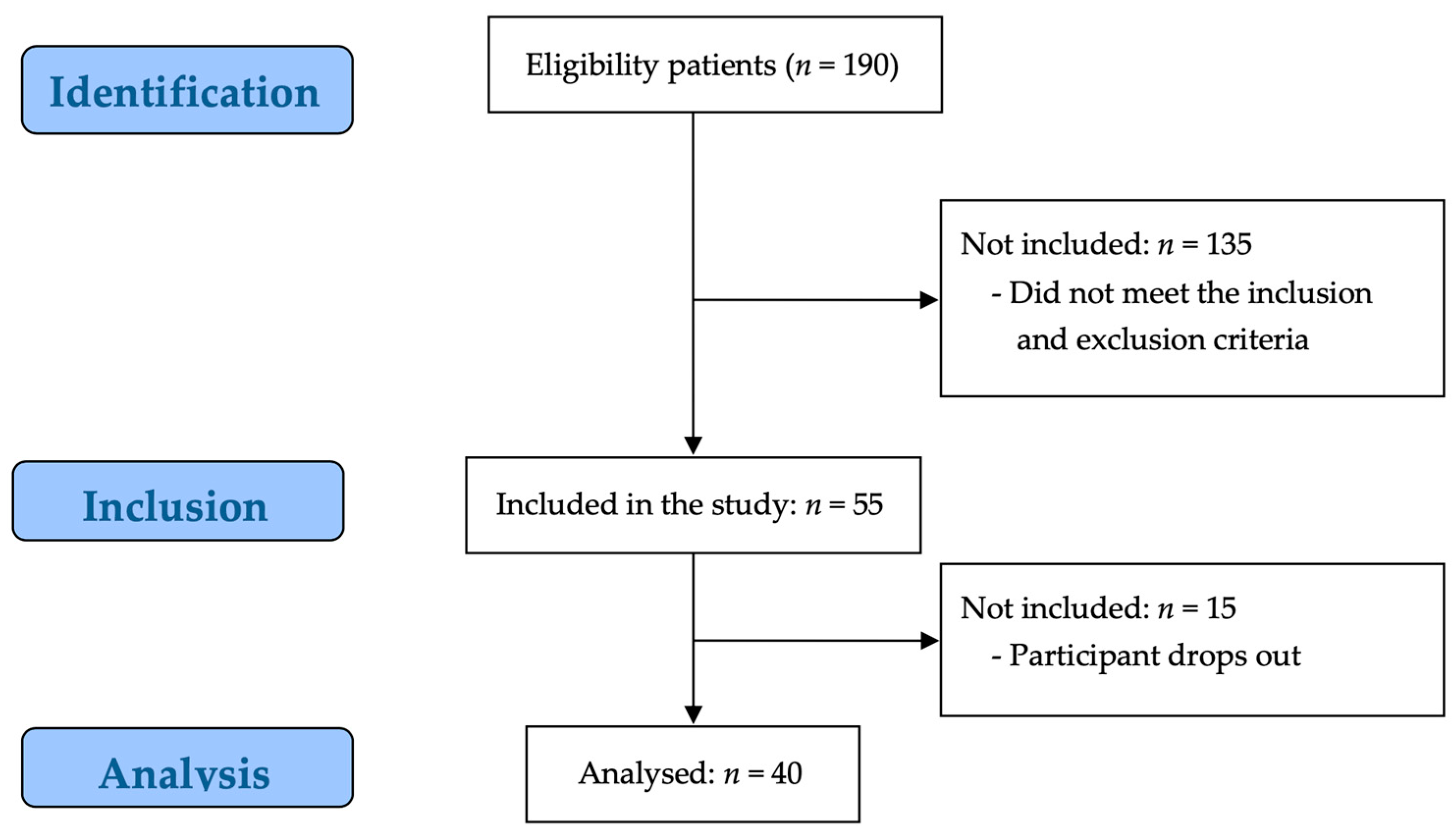 Biomedicines 13 01982 g001