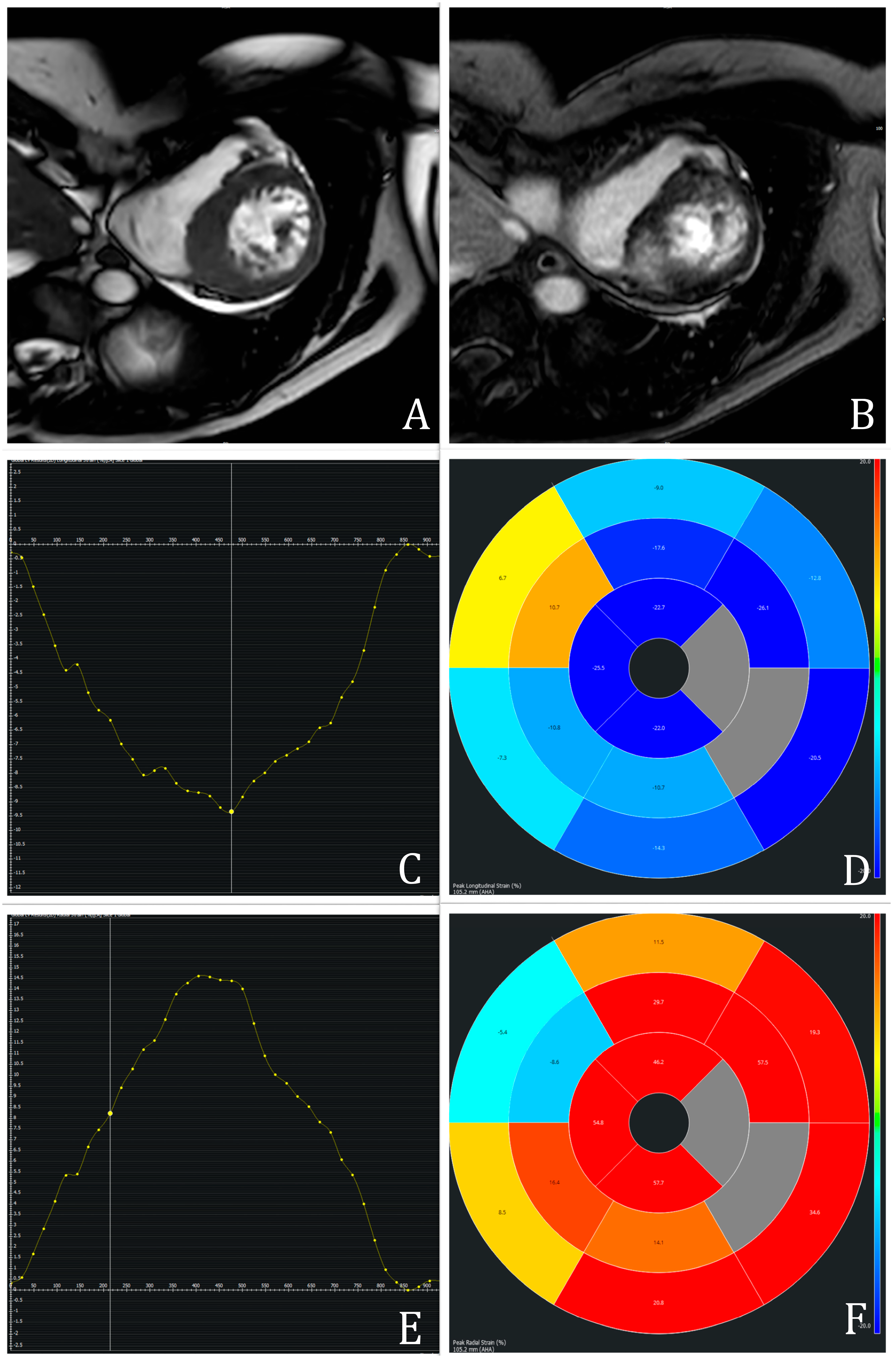 Biomedicines 13 01986 g001