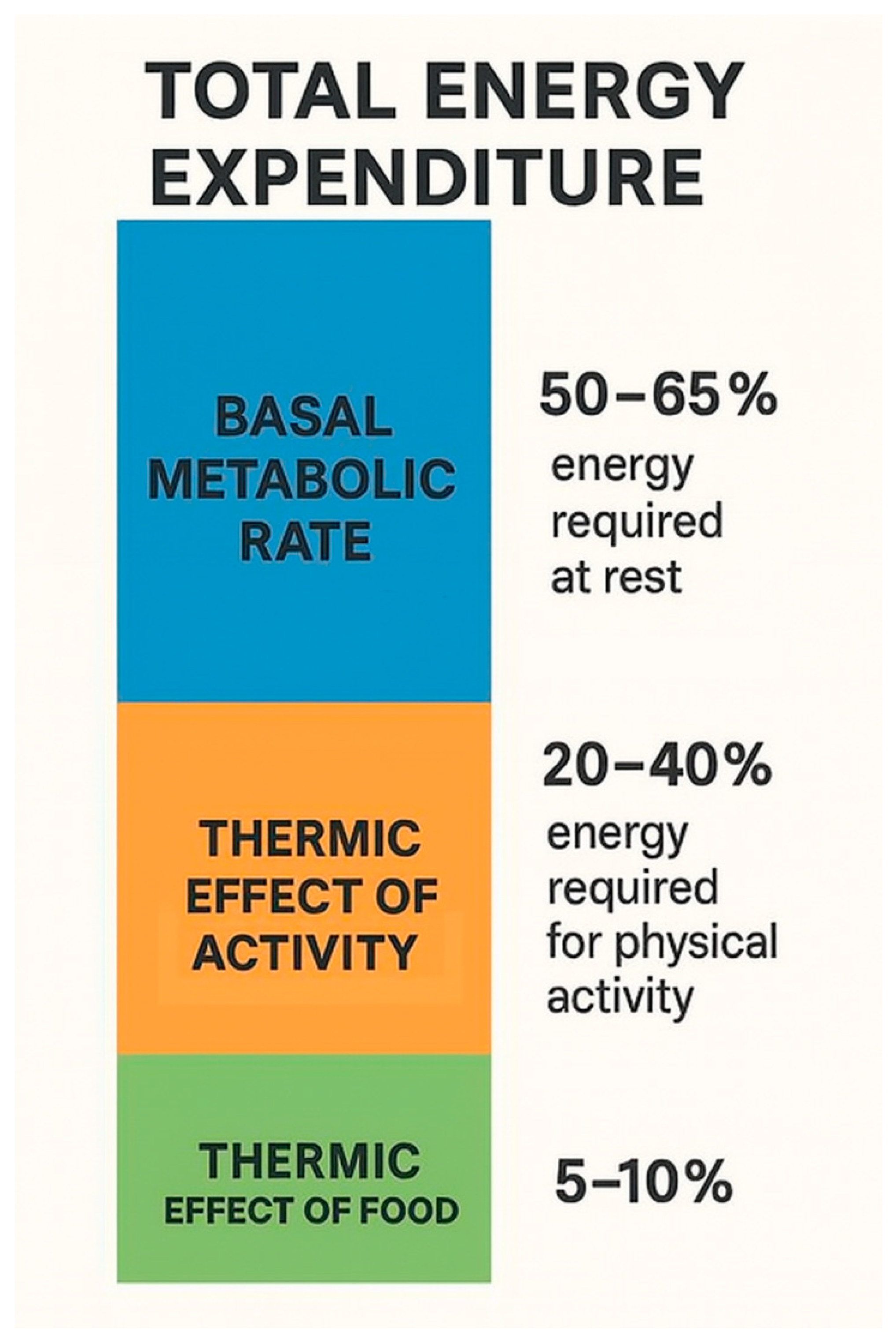 Biomedicines 13 01989 g001 Biomedicines 13 01989 g001