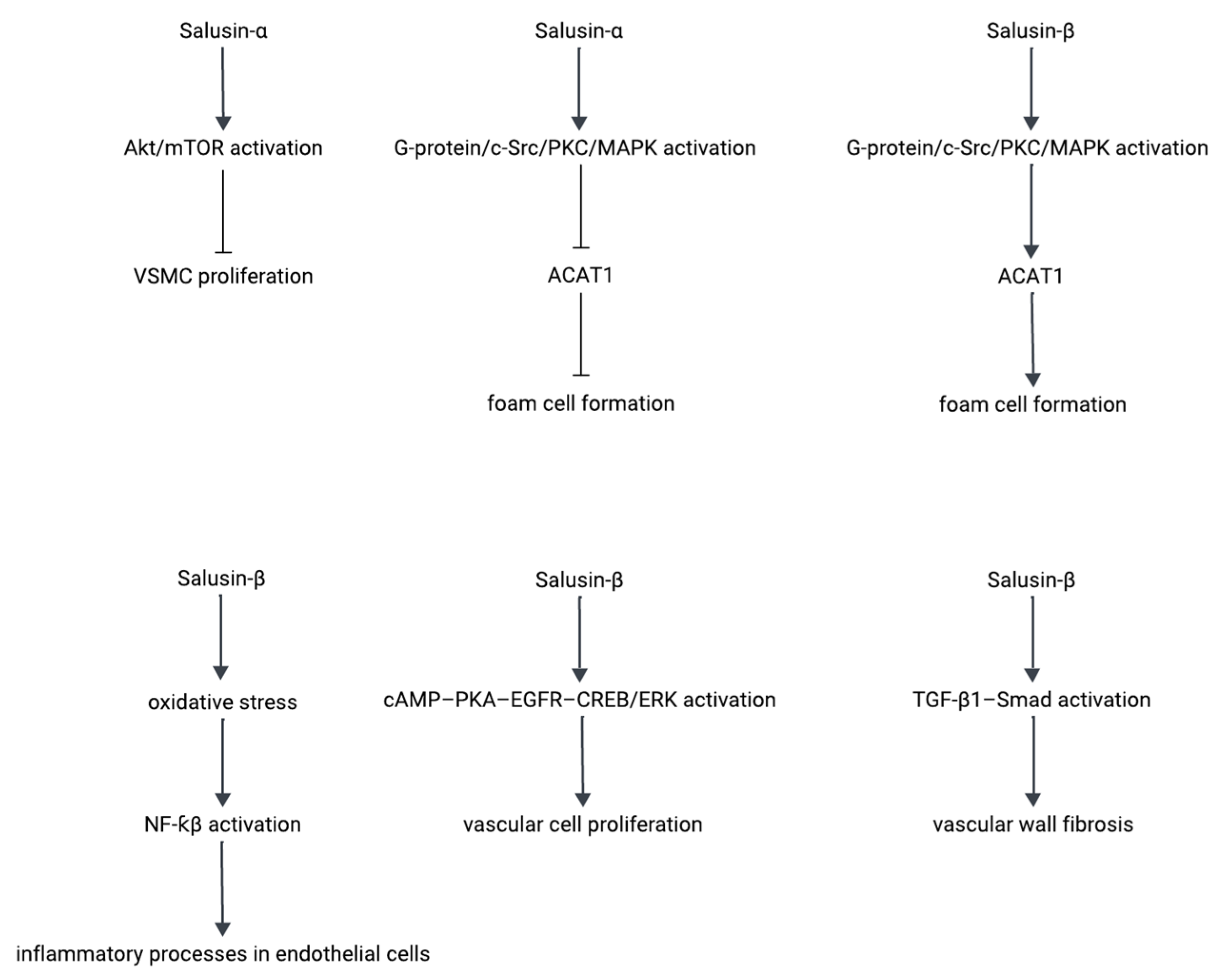 Biomedicines 13 01990 g003 Biomedicines 13 01990 g003