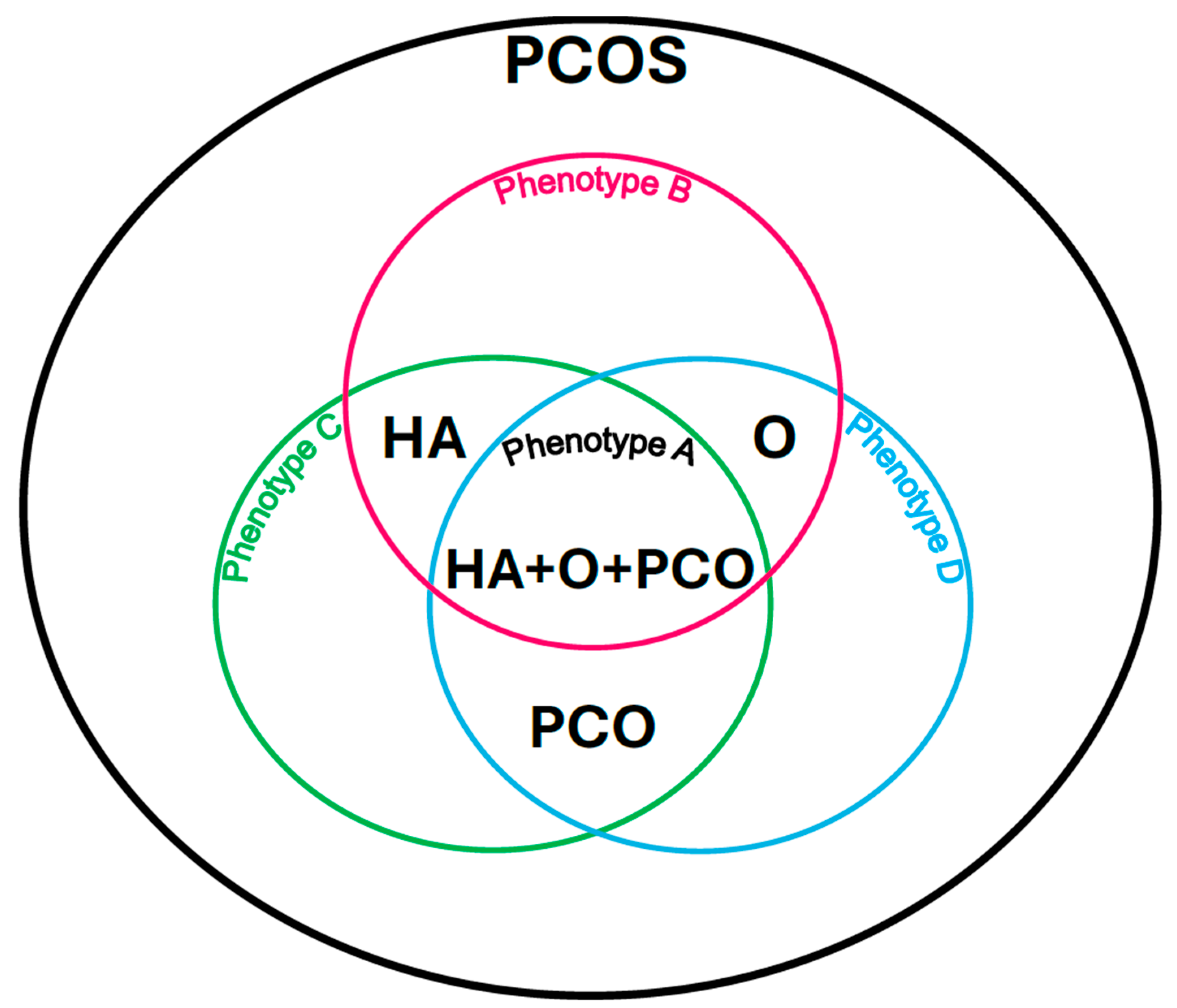 Biomedicines 13 01997 g001