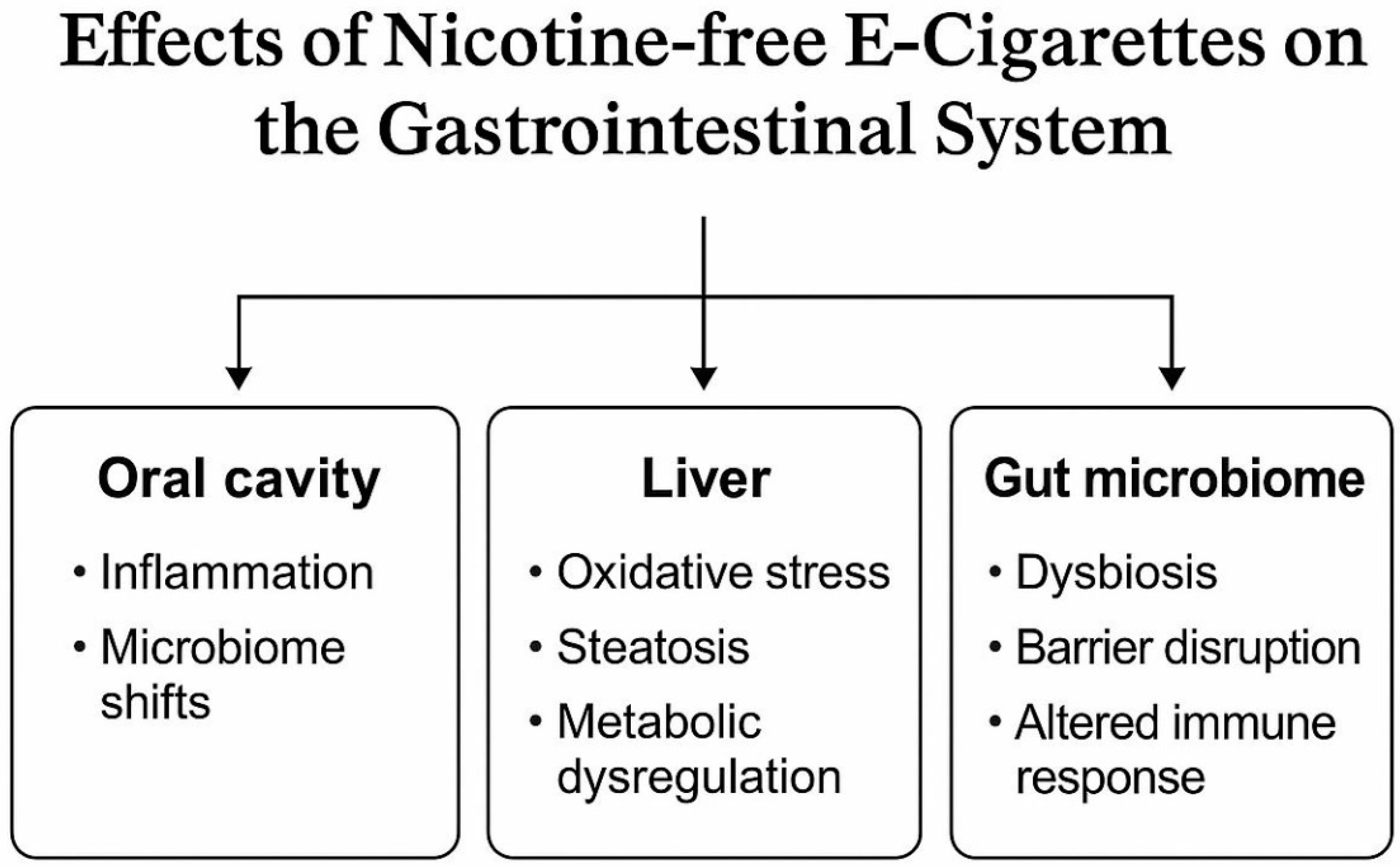 Biomedicines 13 01998 g002