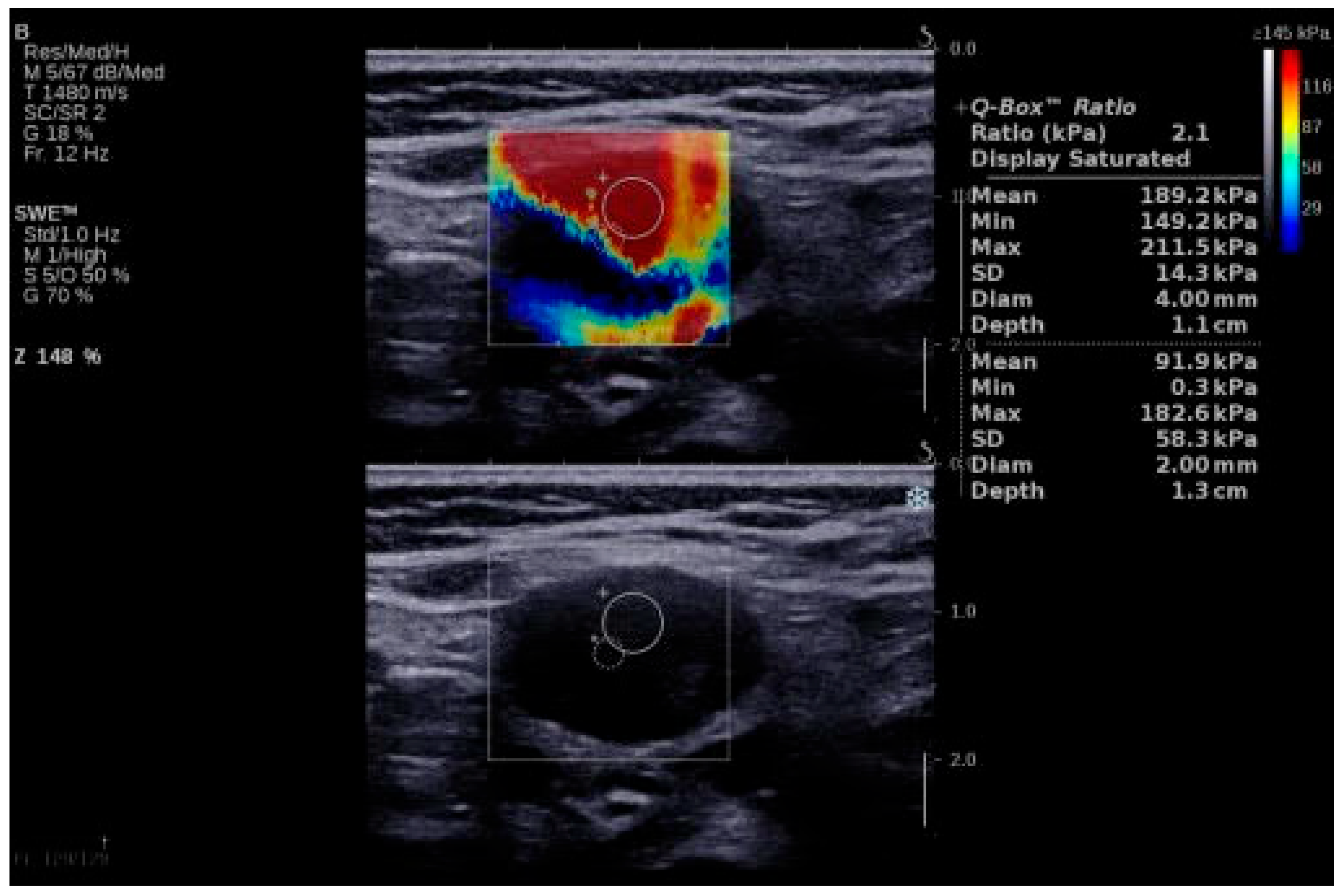 Biomedicines 13 02001 g002