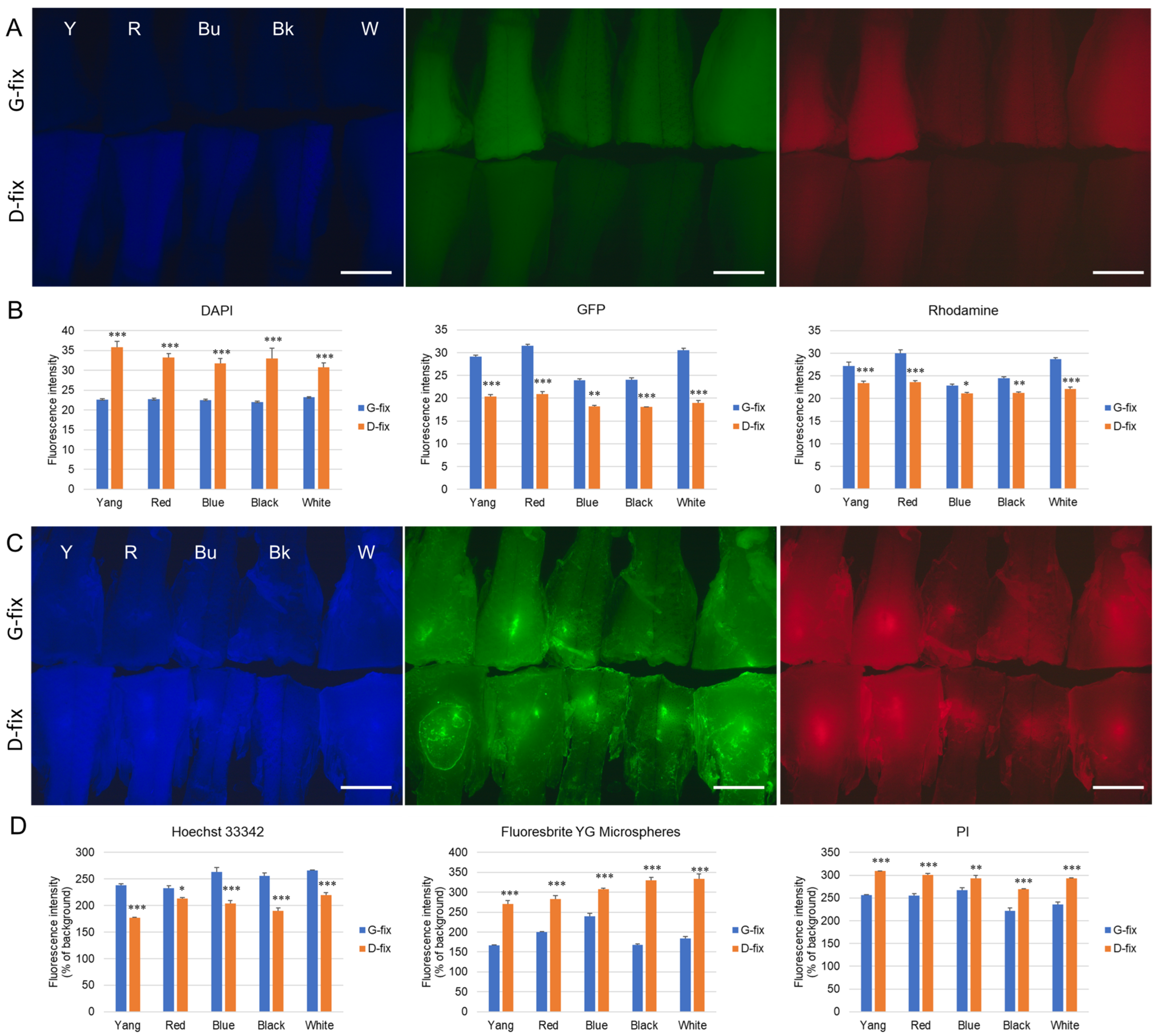 Biomedicines 13 02002 g002