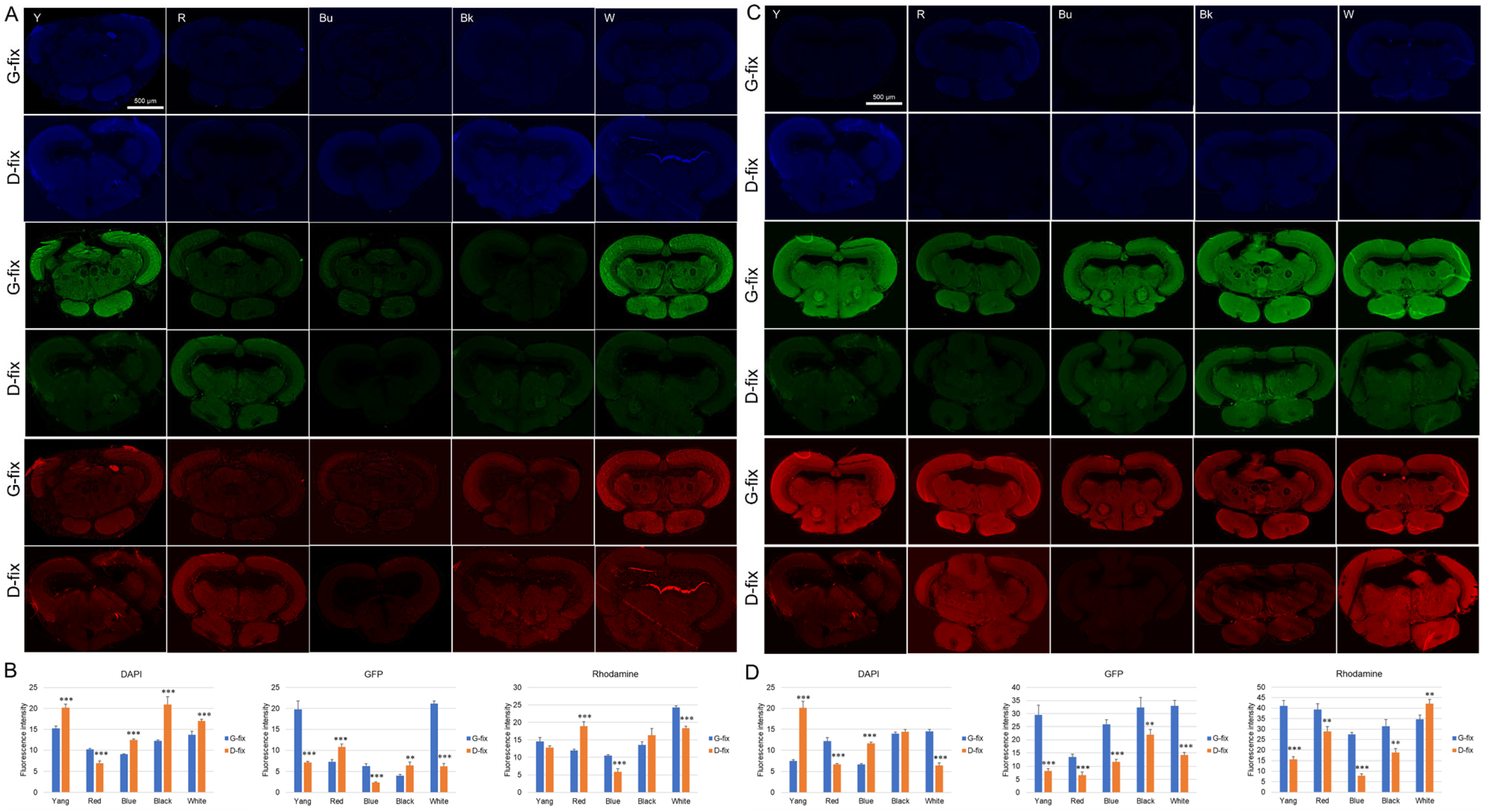Biomedicines 13 02002 g003
