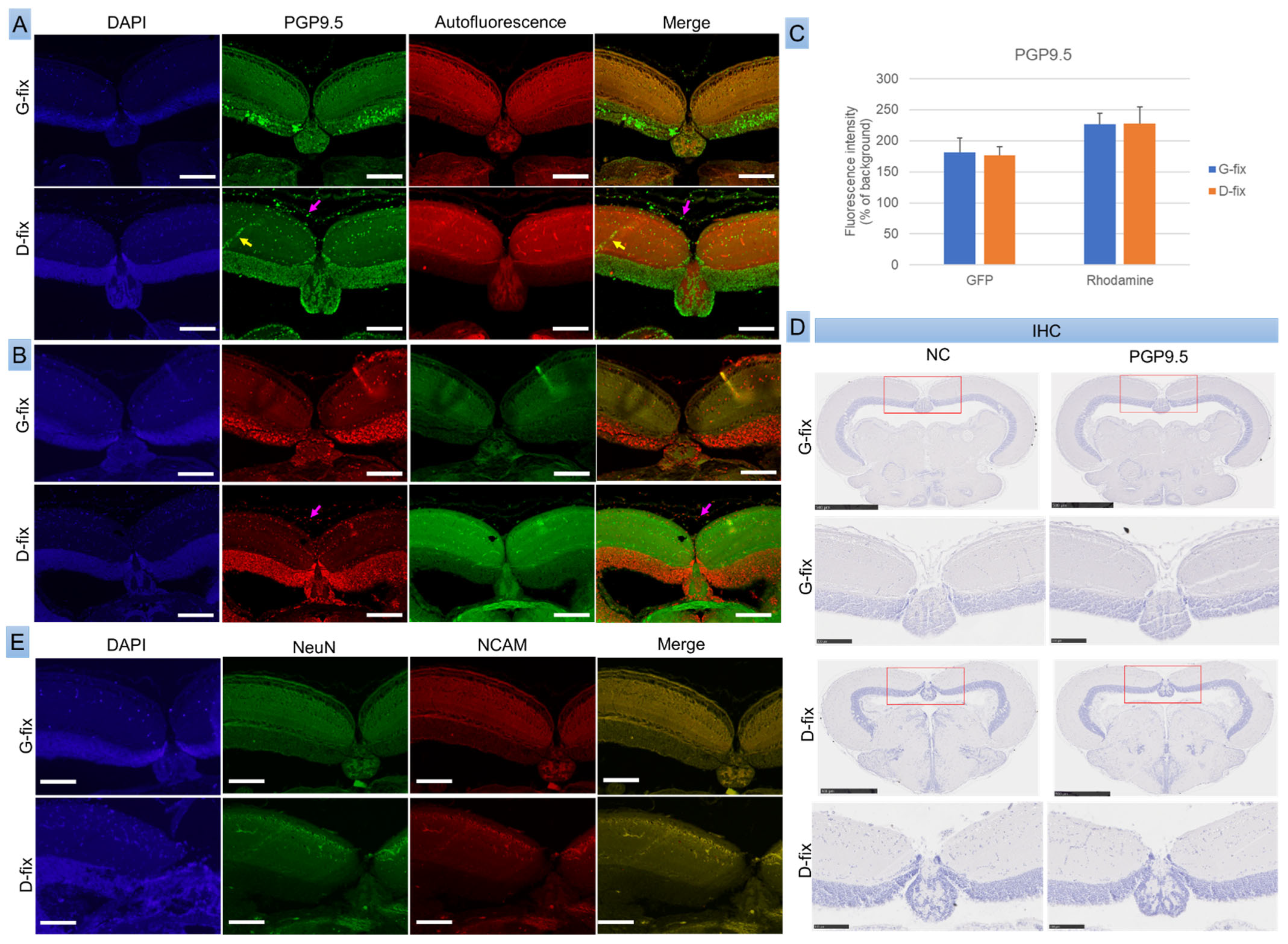 Biomedicines 13 02002 g005