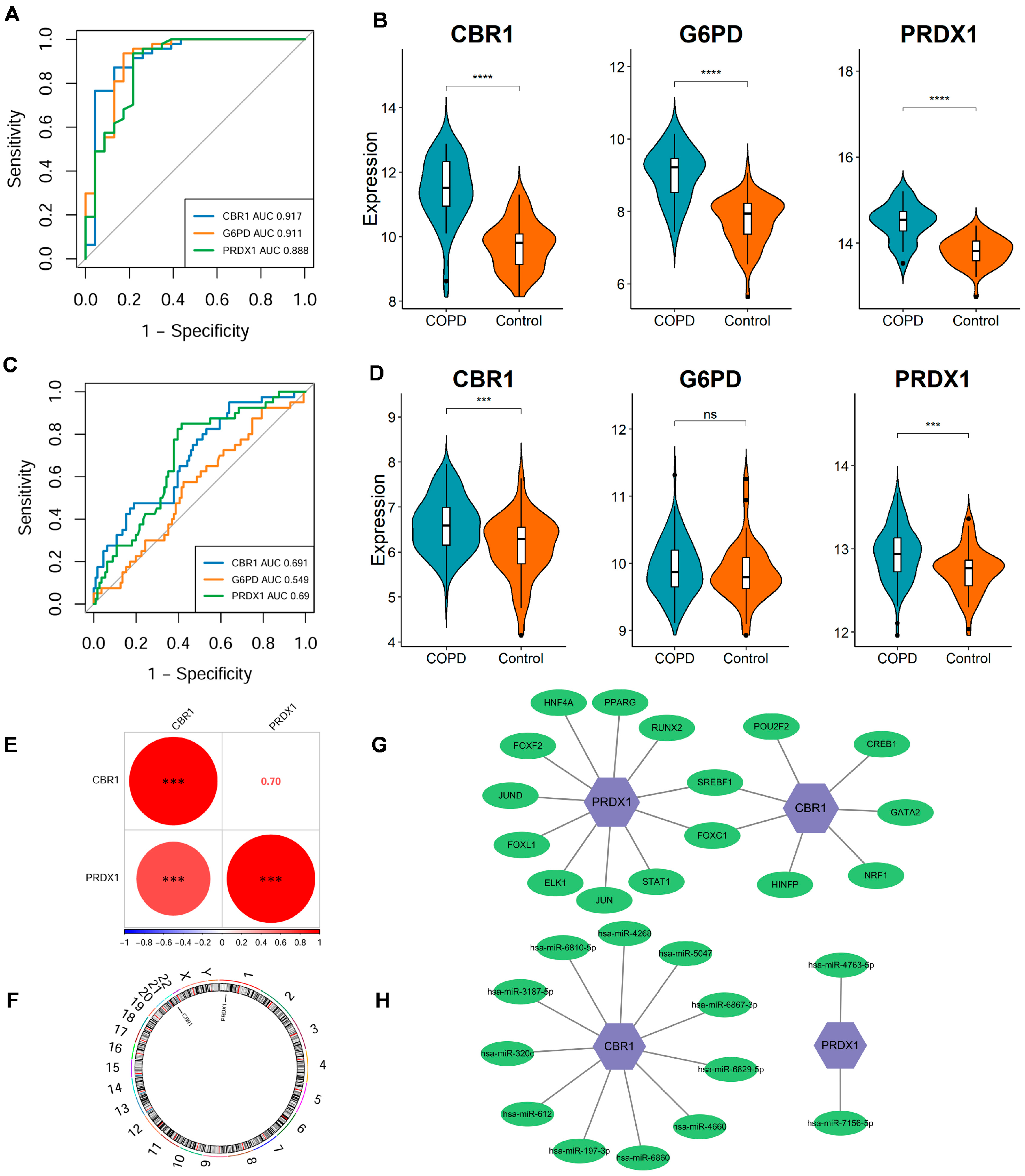 Biomedicines 13 02006 g003