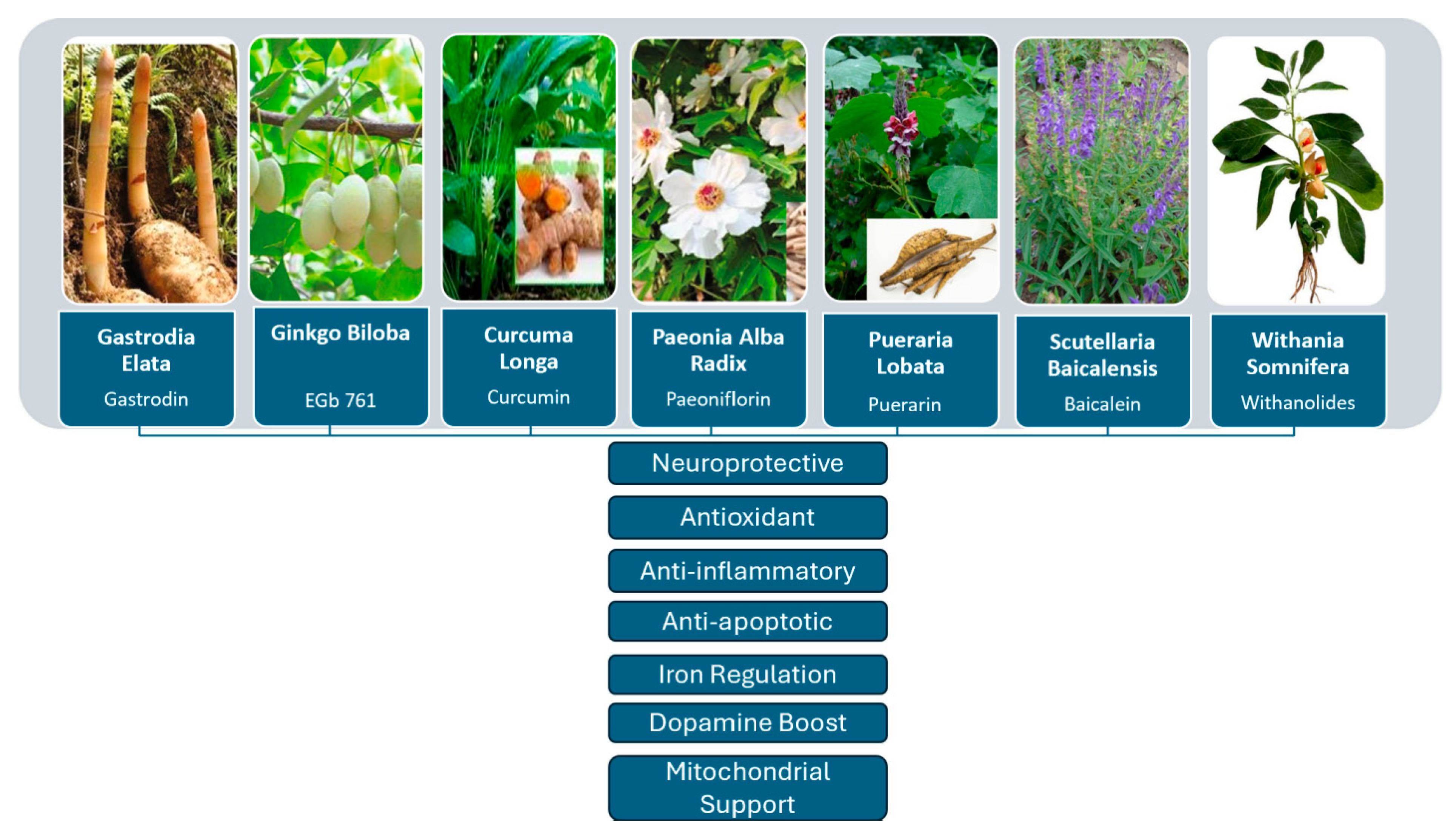 Biomedicines 13 02008 g002