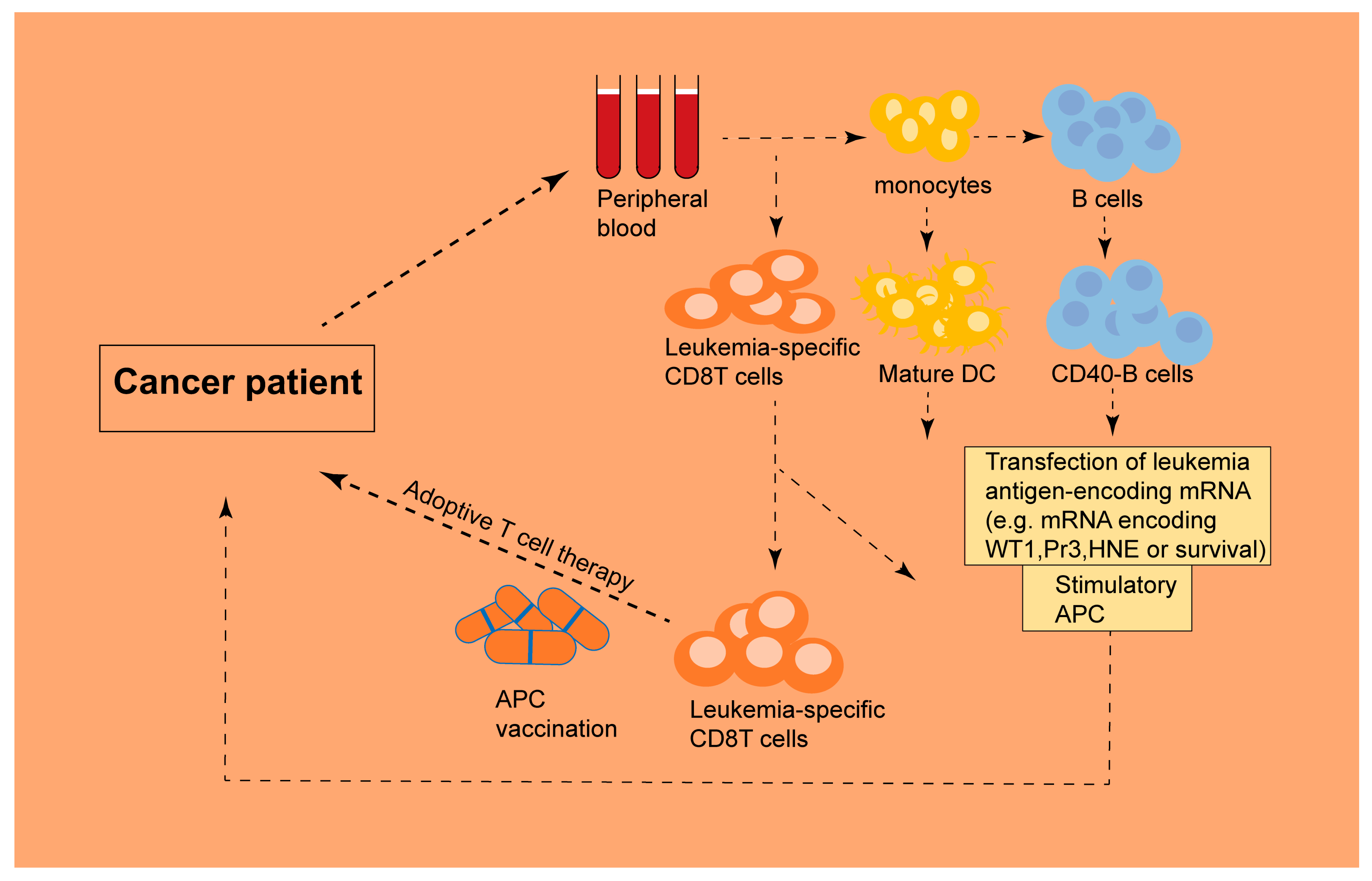 Biomedicines 13 02012 g002
