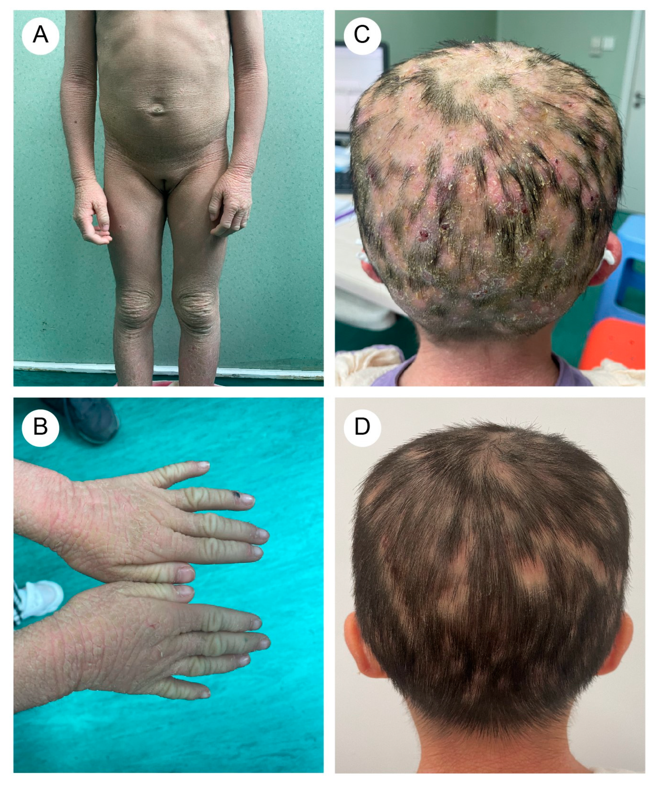 Biomedicines 13 02015 g001